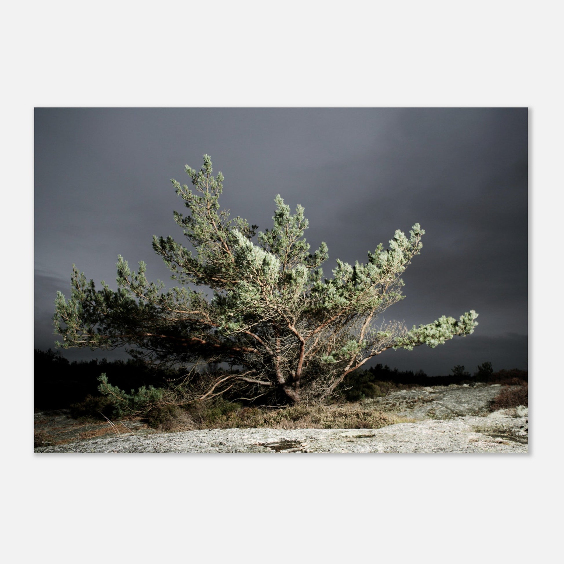 20767921-eeaa-4cfc-8055-1ce0527979bc