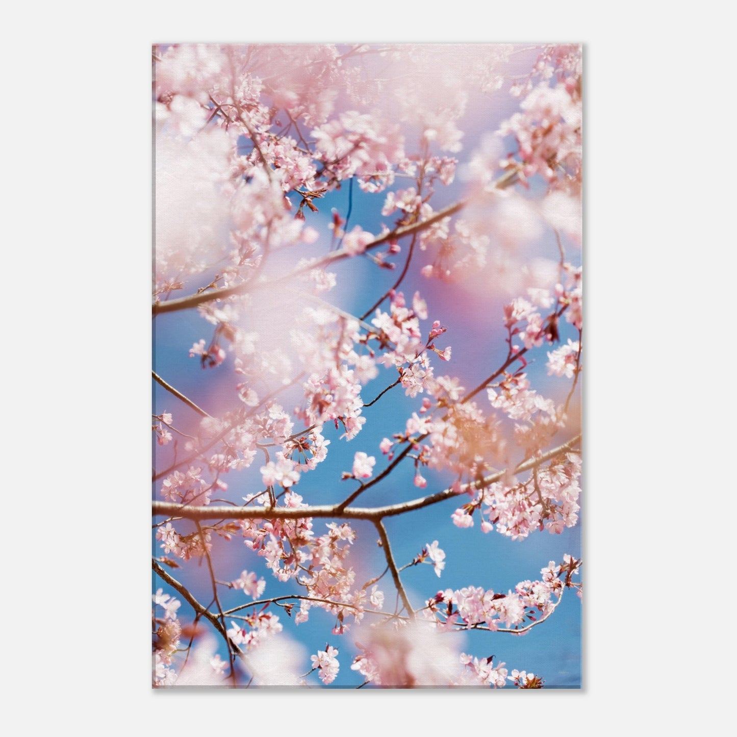 21944335-c42e-47f0-94f5-ec0cf744f2b0