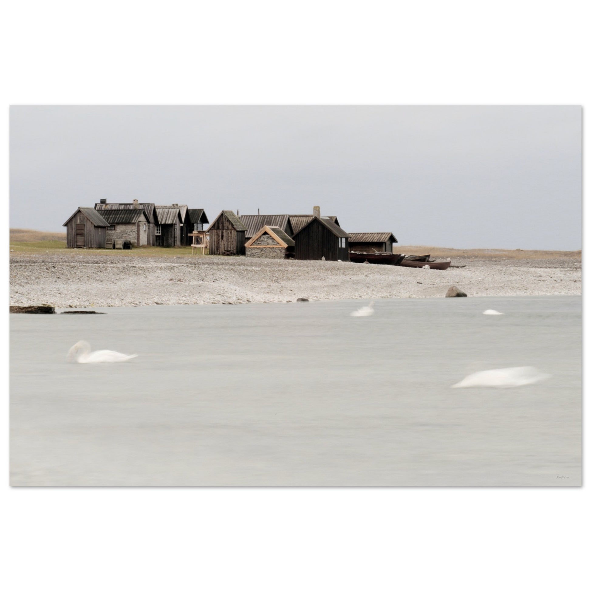 222cbc49-4423-4f04-940e-42dd9e88310c