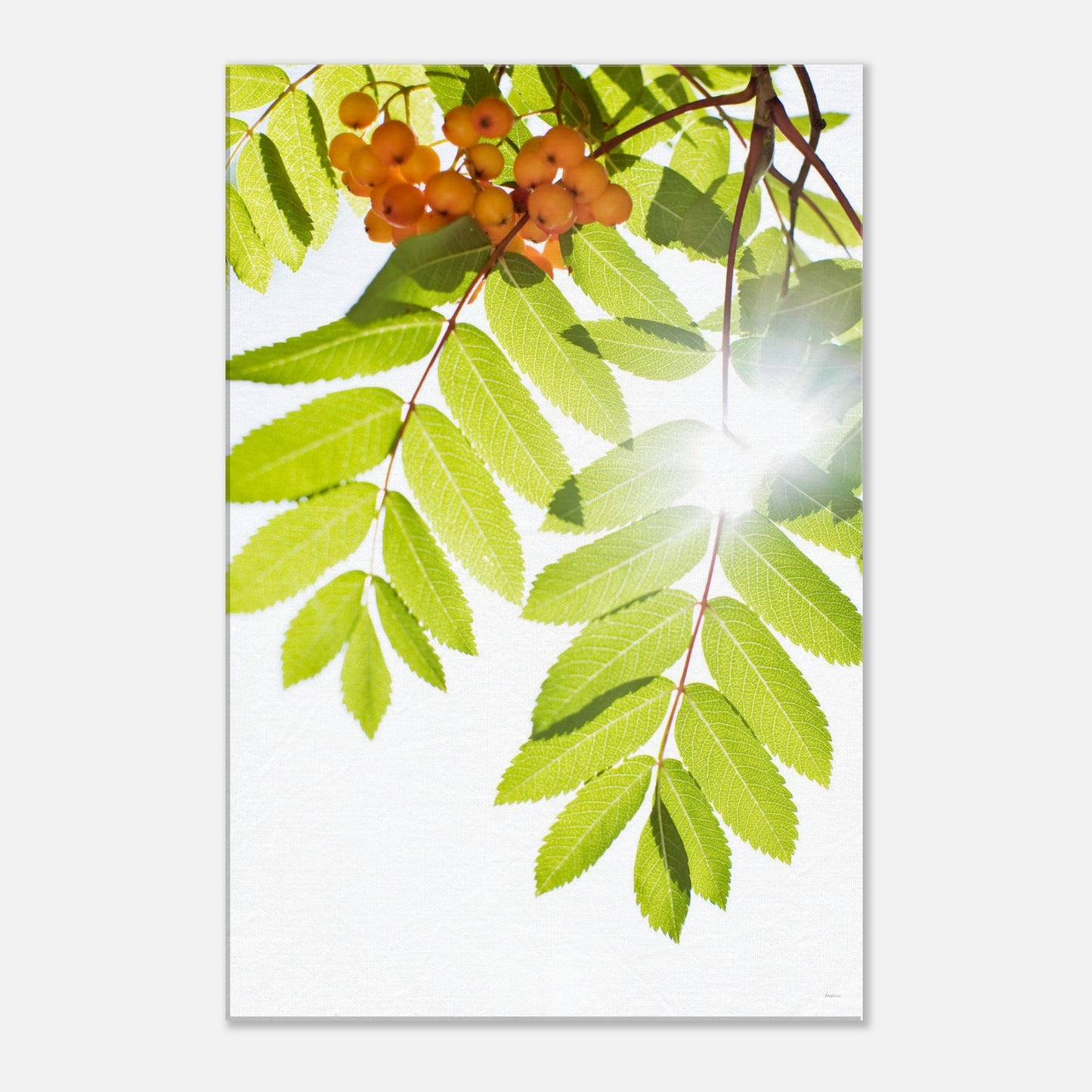 22fa72bf-6314-479a-a997-3cd97e2ae8d4