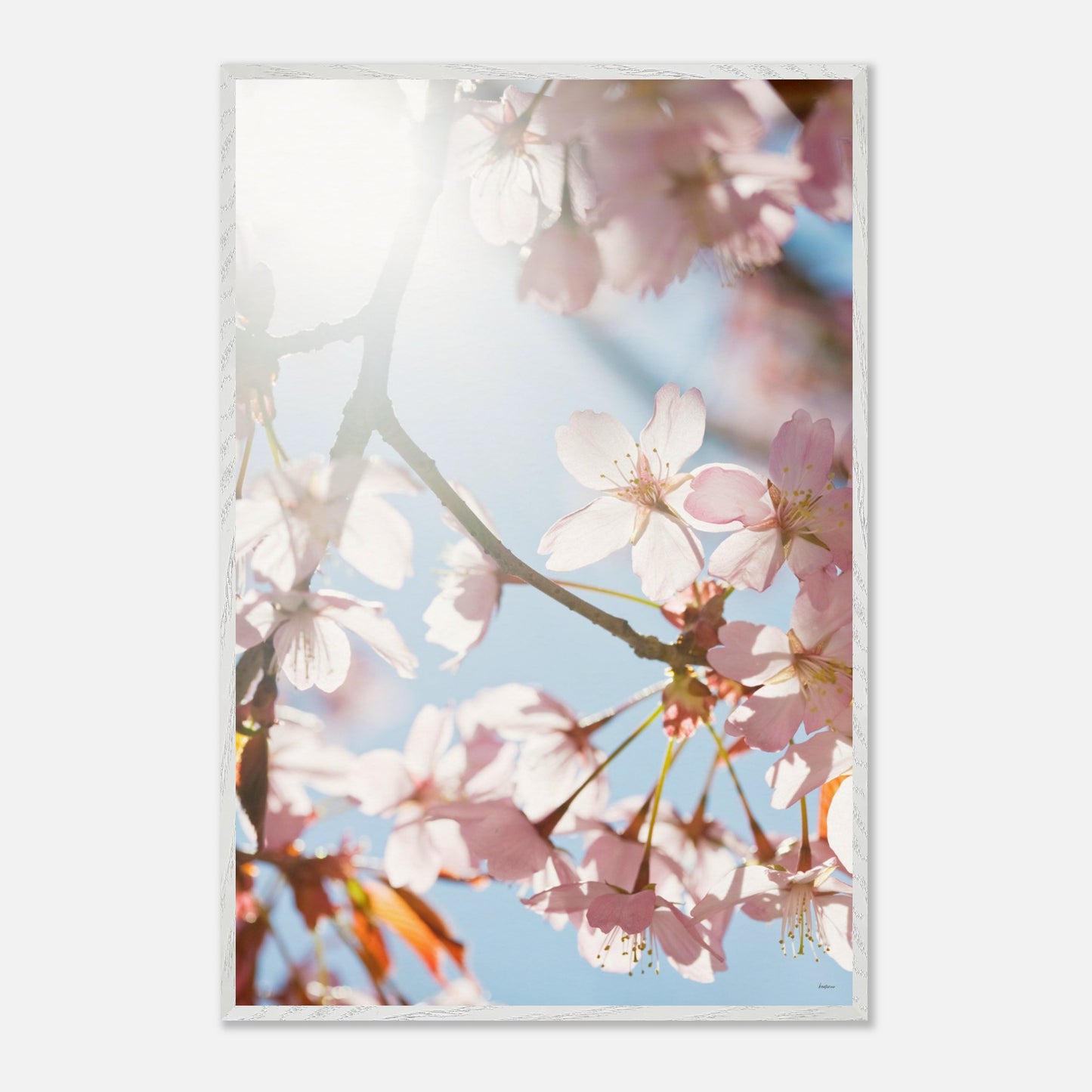 2358f5cf-0ce6-45e2-97de-eaad3476b097