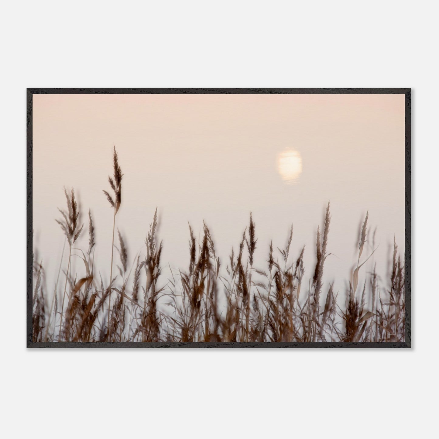 23bd82ce-f27b-4a09-872f-df1772789e79