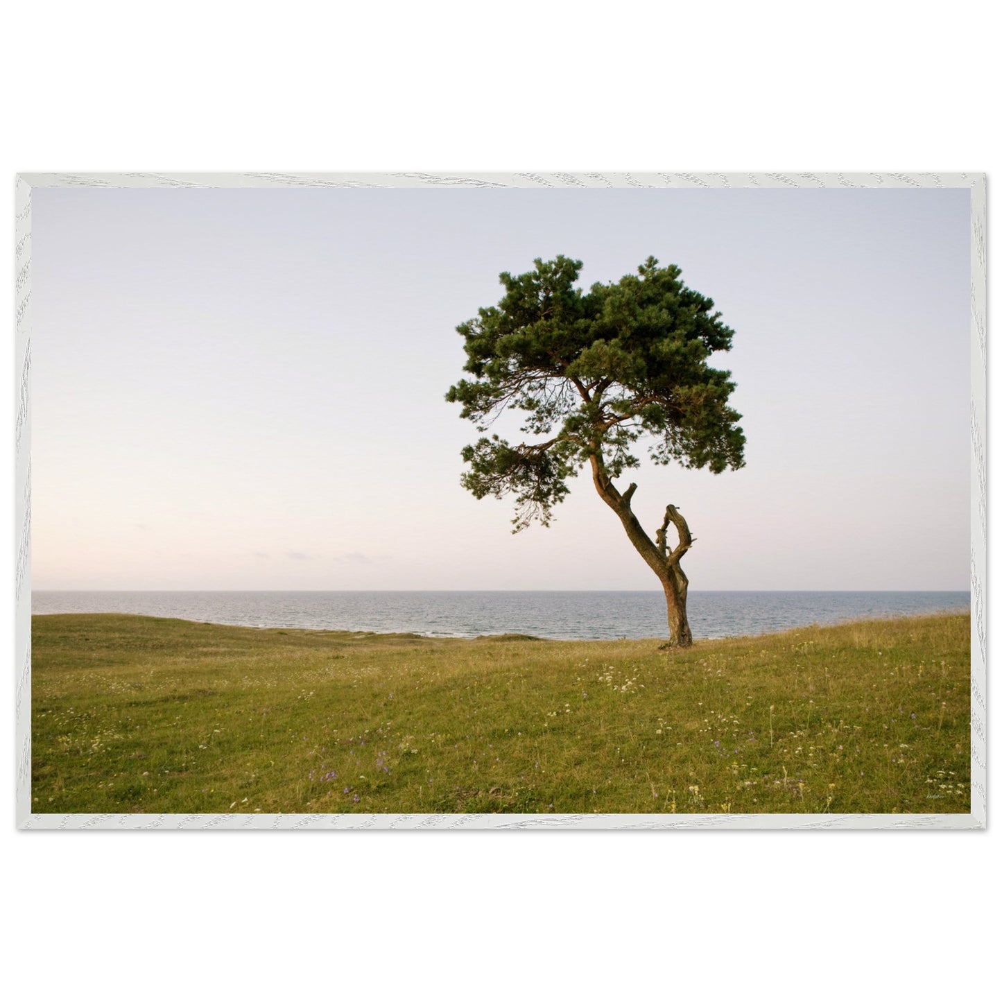 23cc99af-4227-4d4e-8428-5922645c7310