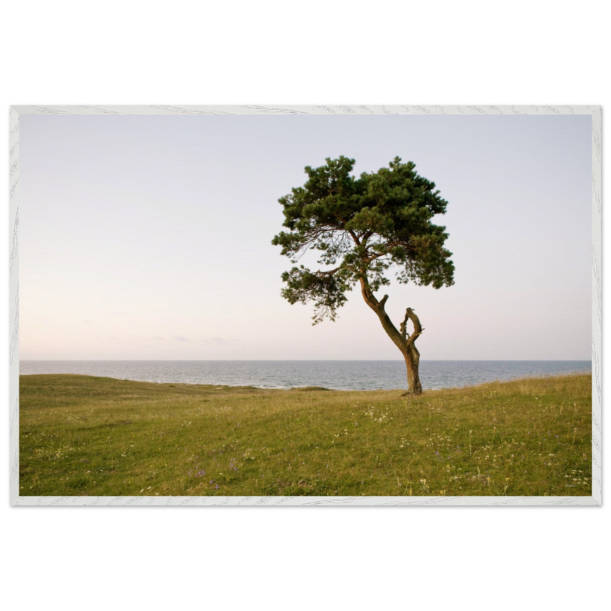 23cc99af-4227-4d4e-8428-5922645c7310