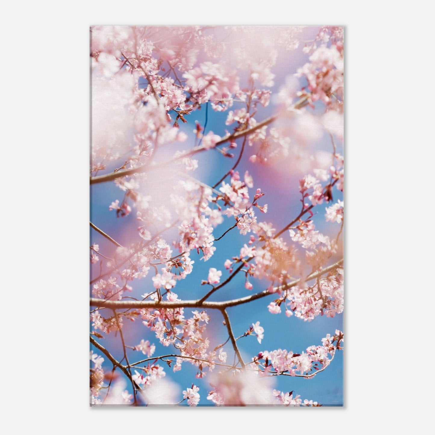 250c708e-e416-4d06-8e9a-5b4283f5eb95