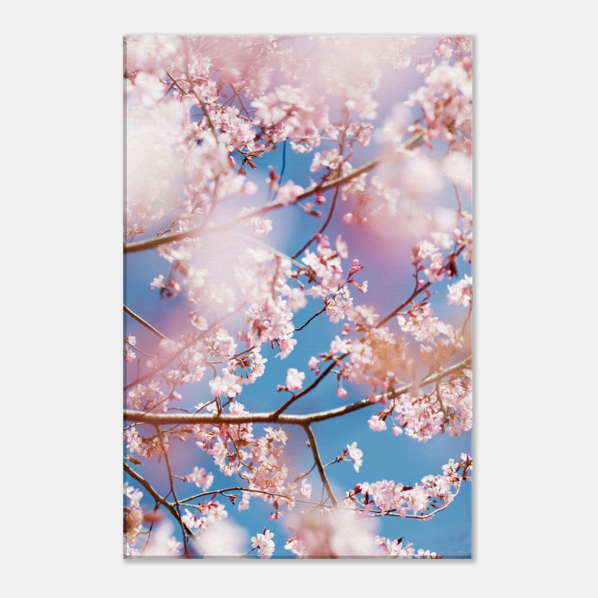 250c708e-e416-4d06-8e9a-5b4283f5eb95