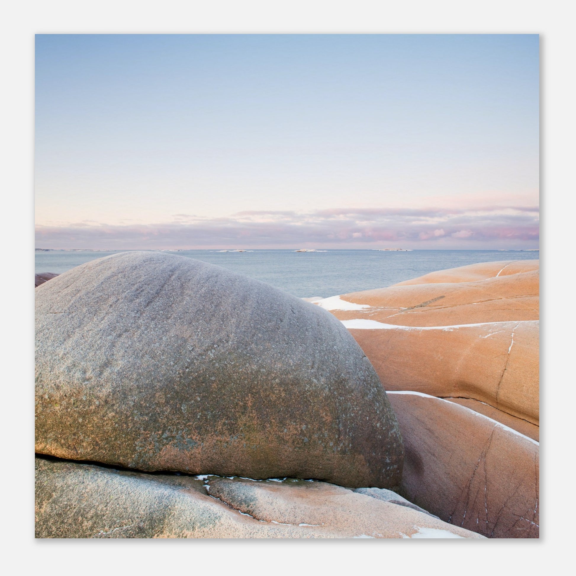 256df5b5-546f-4948-9a88-ffee5ad736c8