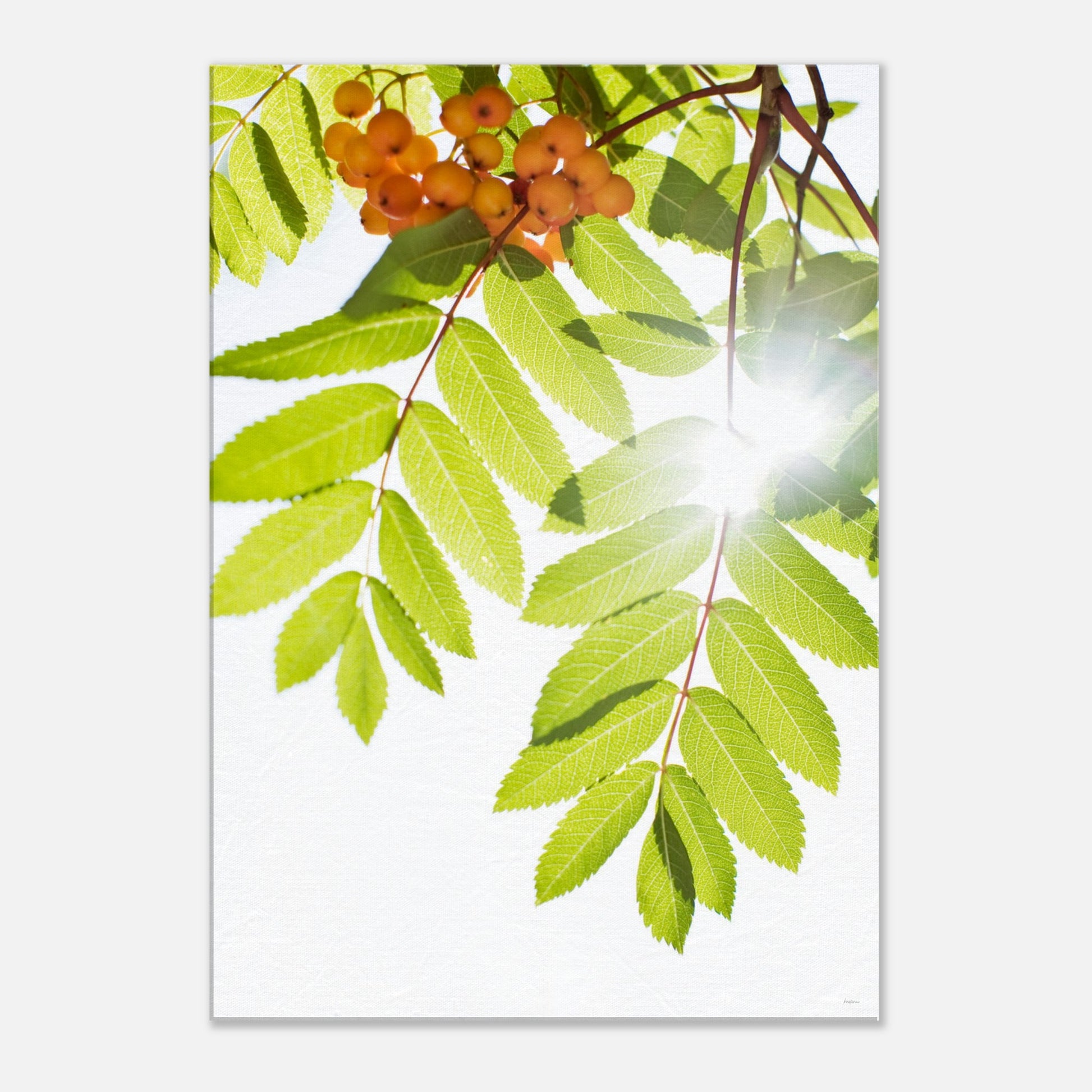 260a4b48-cdf0-43c2-bb54-037d7a3d3de6