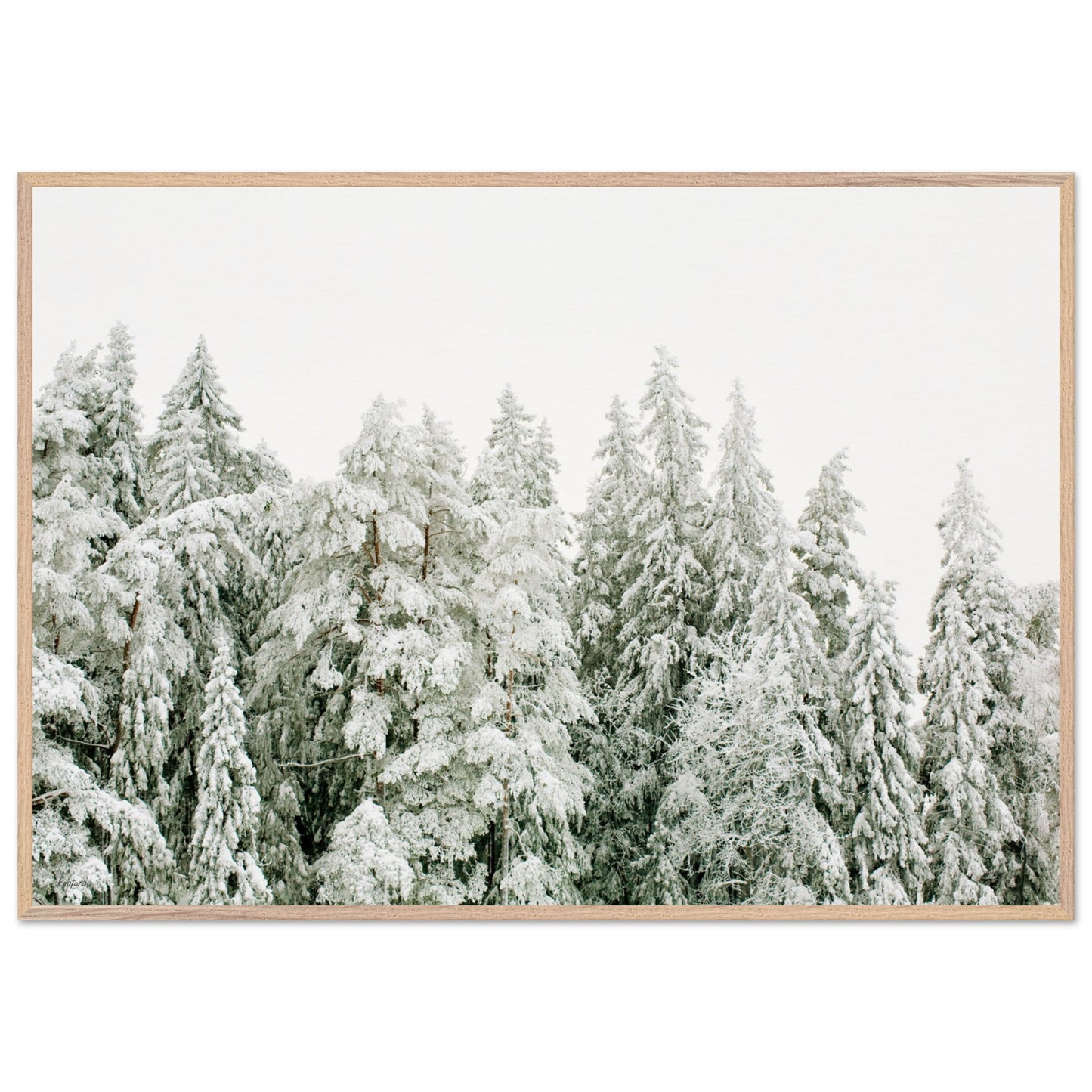 2626fe50-c411-45b5-8bfa-deeb97148581