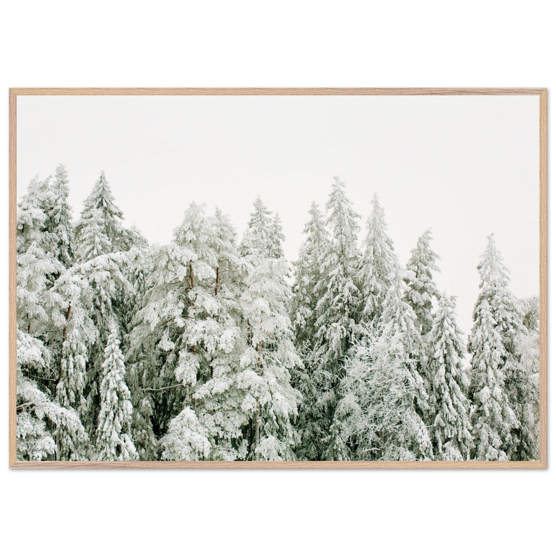 2626fe50-c411-45b5-8bfa-deeb97148581