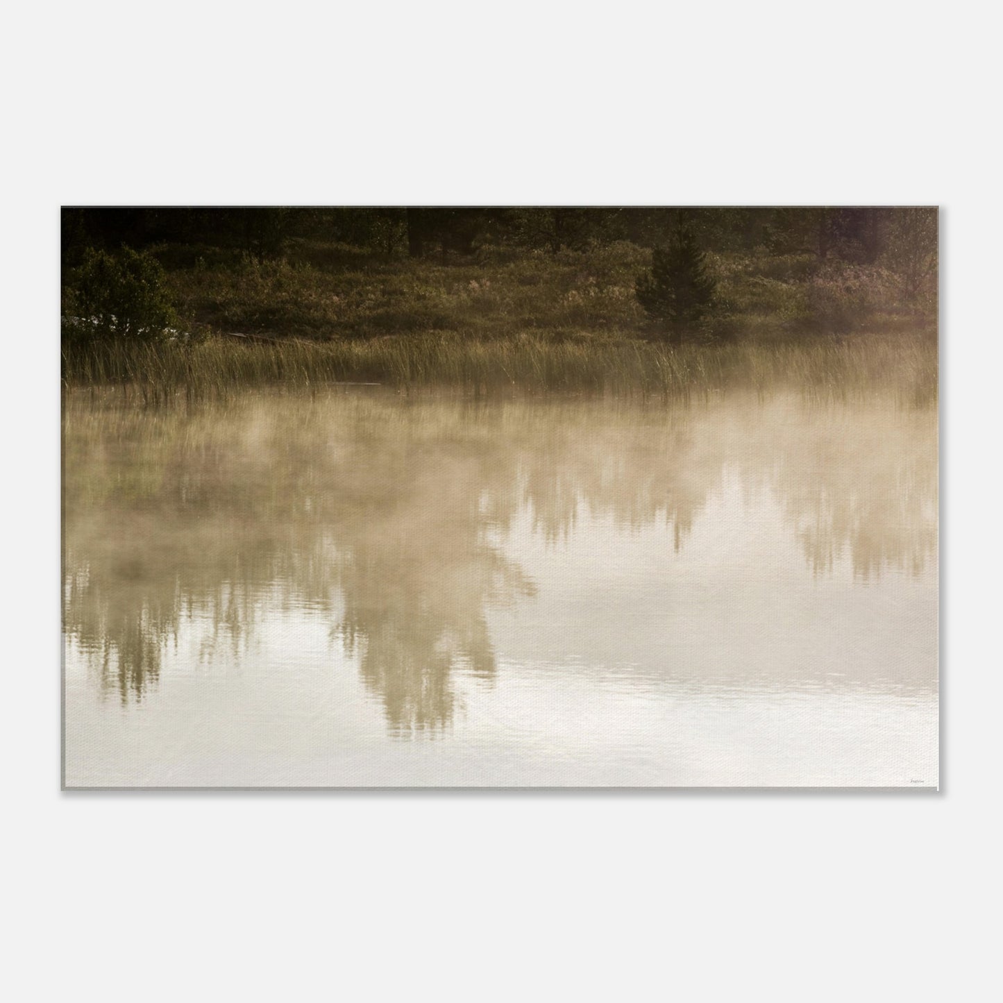 265f0ad6-c8f4-466e-80b8-0463ebbc47f0