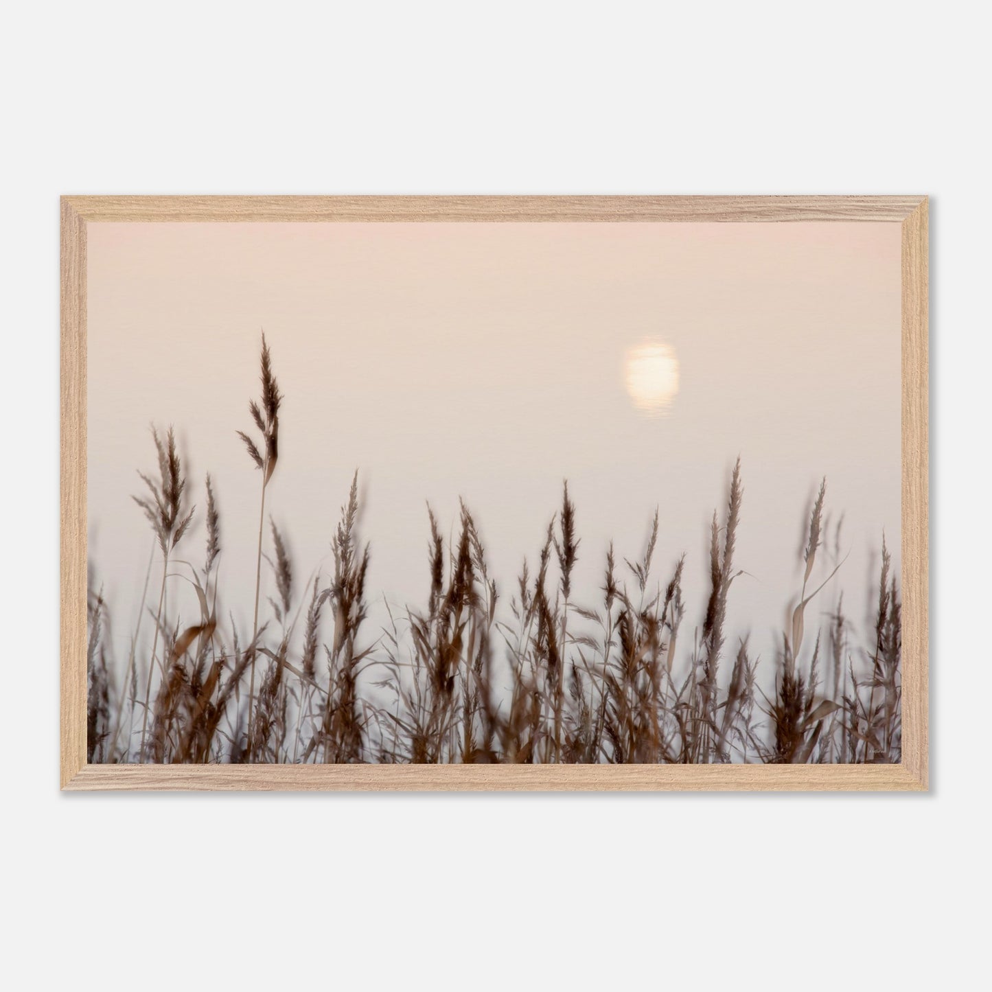 26b66d52-619c-4181-a24d-24853daf512f