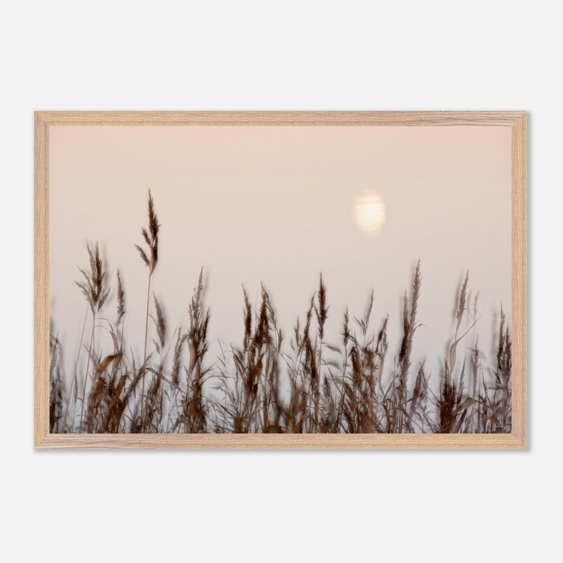 26b66d52-619c-4181-a24d-24853daf512f