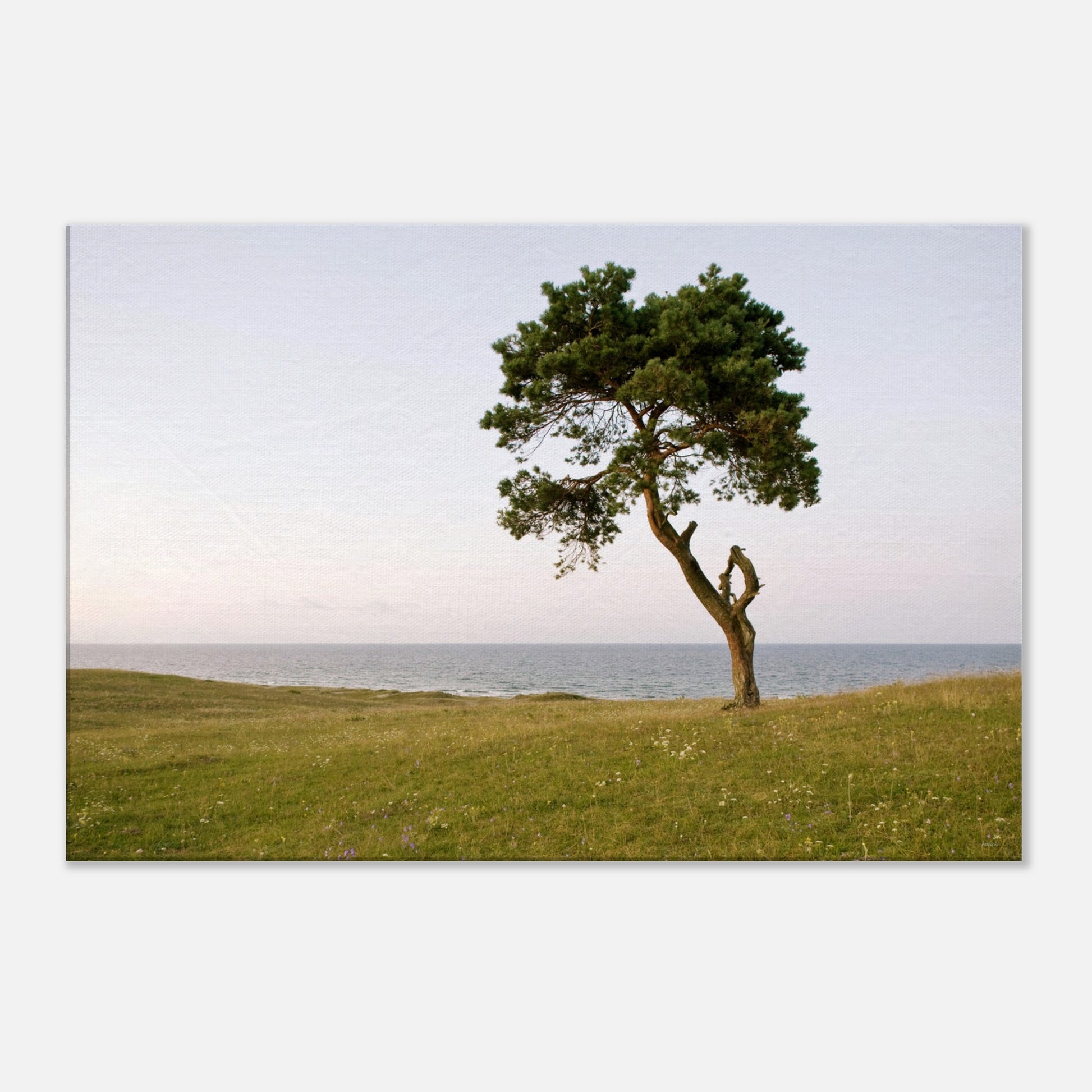 295921ec-603d-4f39-9fcf-5e9ba7d7f5a8