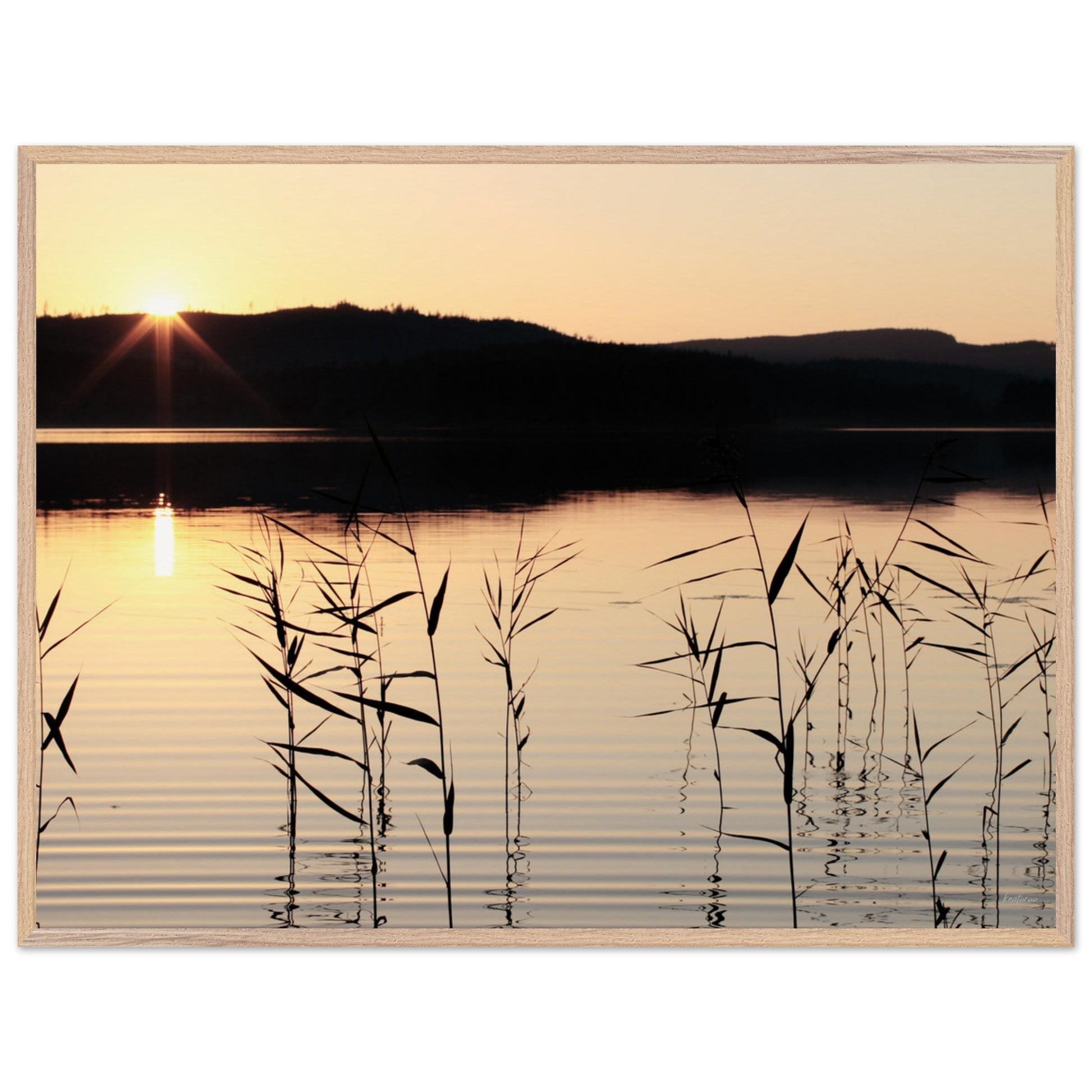 2b8fea06-2474-47f7-a7dd-c8c8b432c301