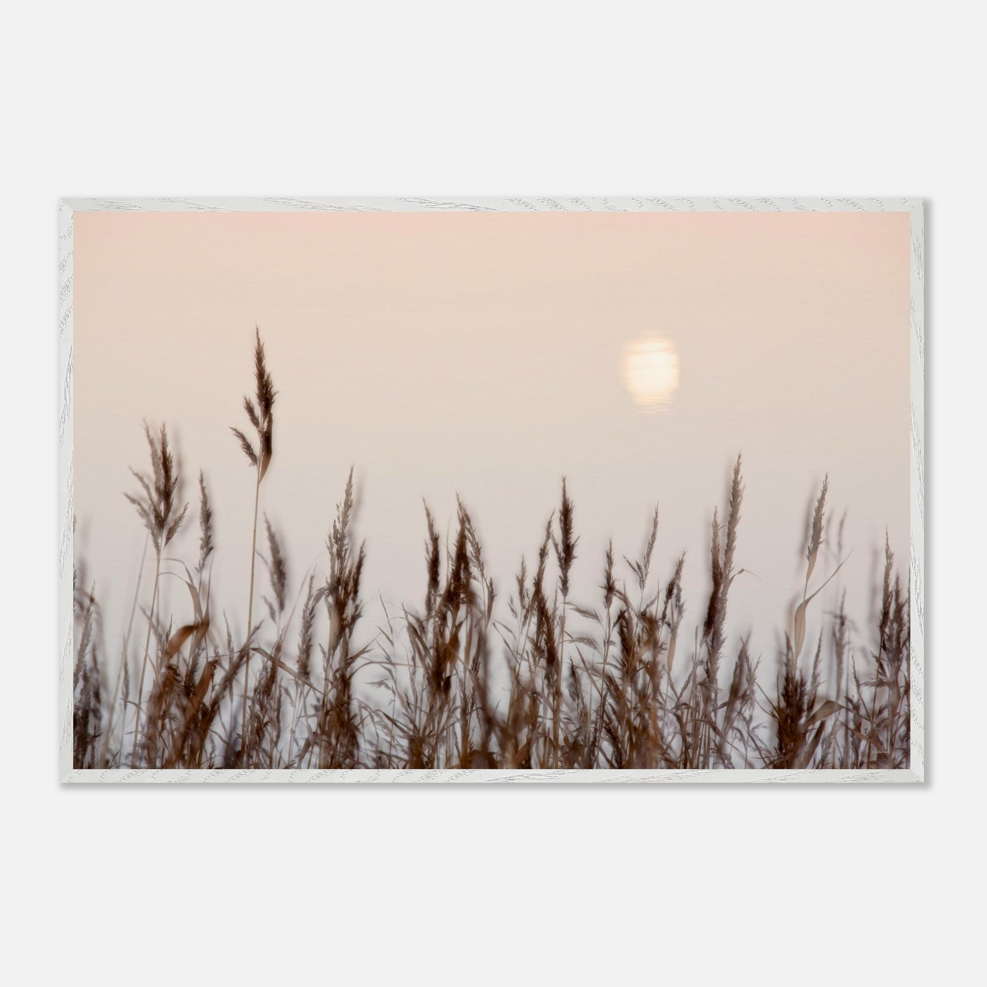 2bf60069-90ad-4e5f-8f6a-405e7cfce813