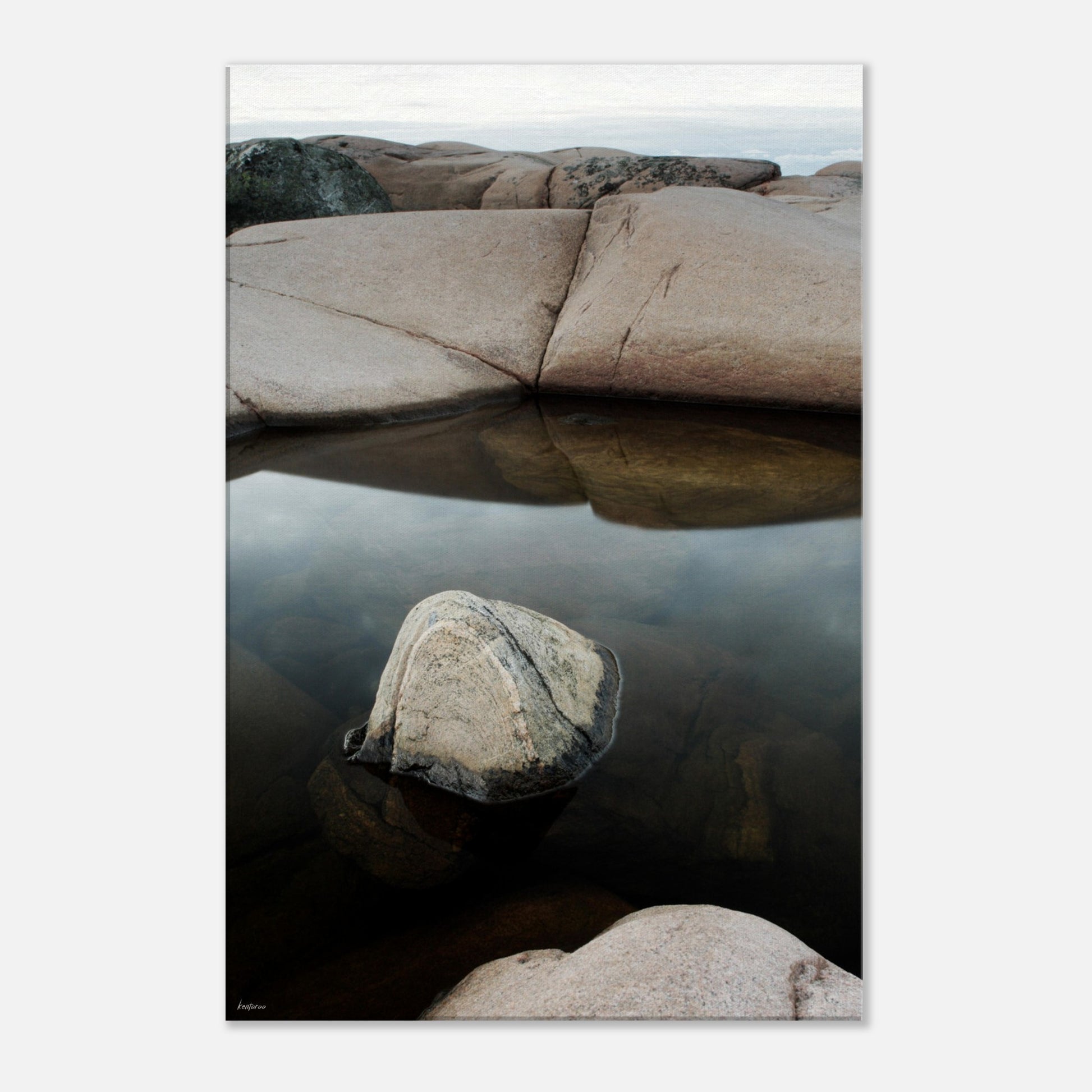 2d7310a5-88c9-4065-a9f6-c0df86e5e223