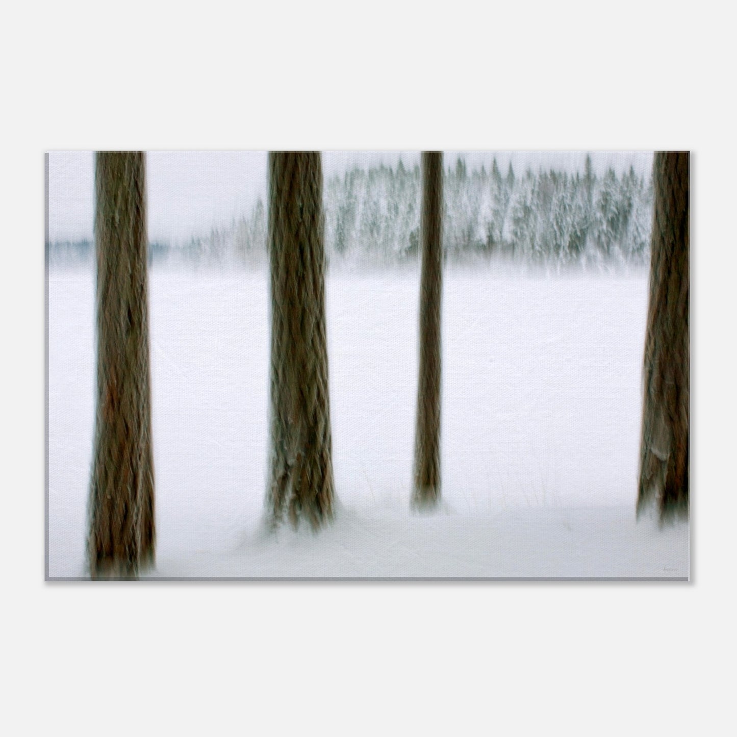 2e988842-5b32-410a-9ac6-6b2bc5dc5c60