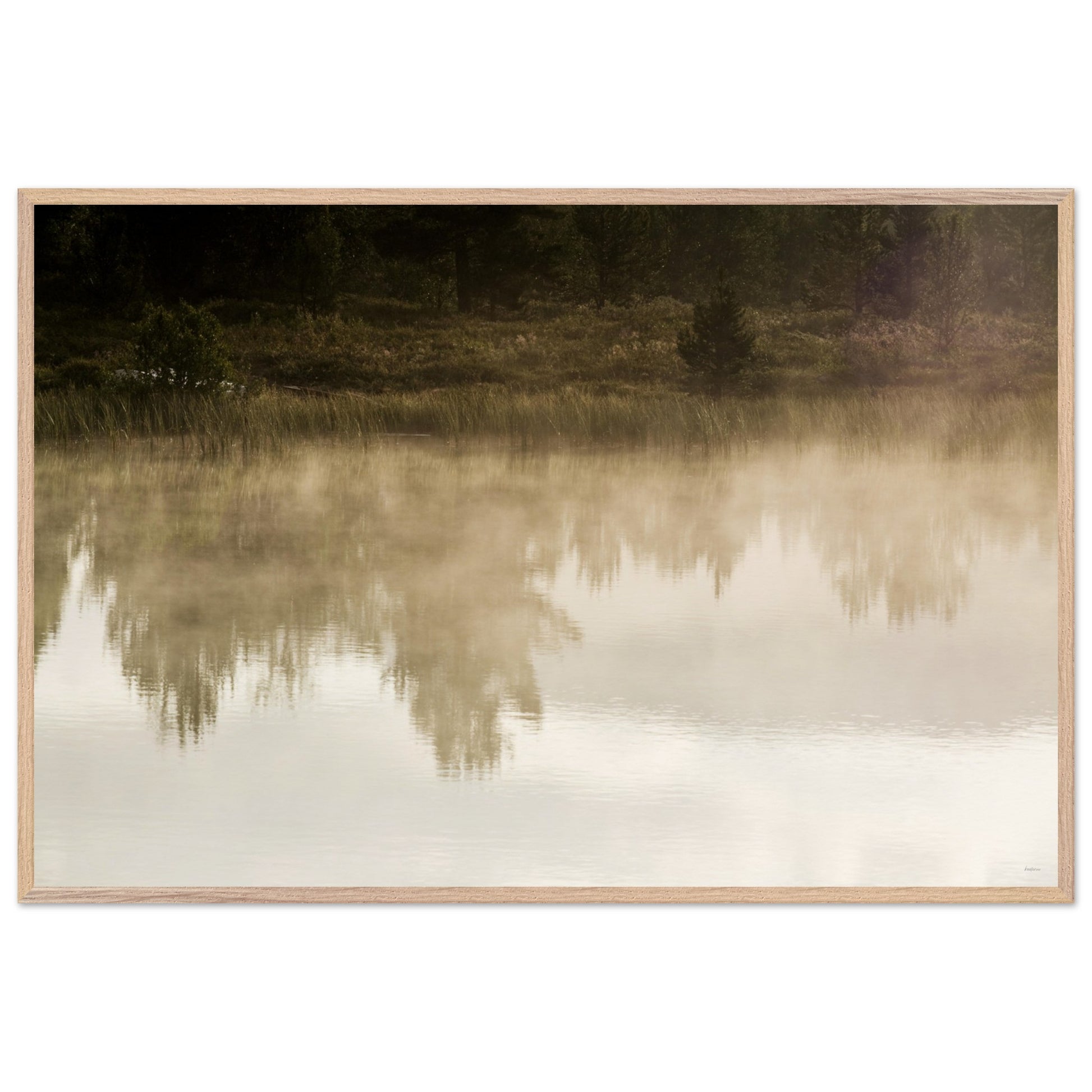 2fc95c82-2c43-4c03-b017-df6dd26d81db