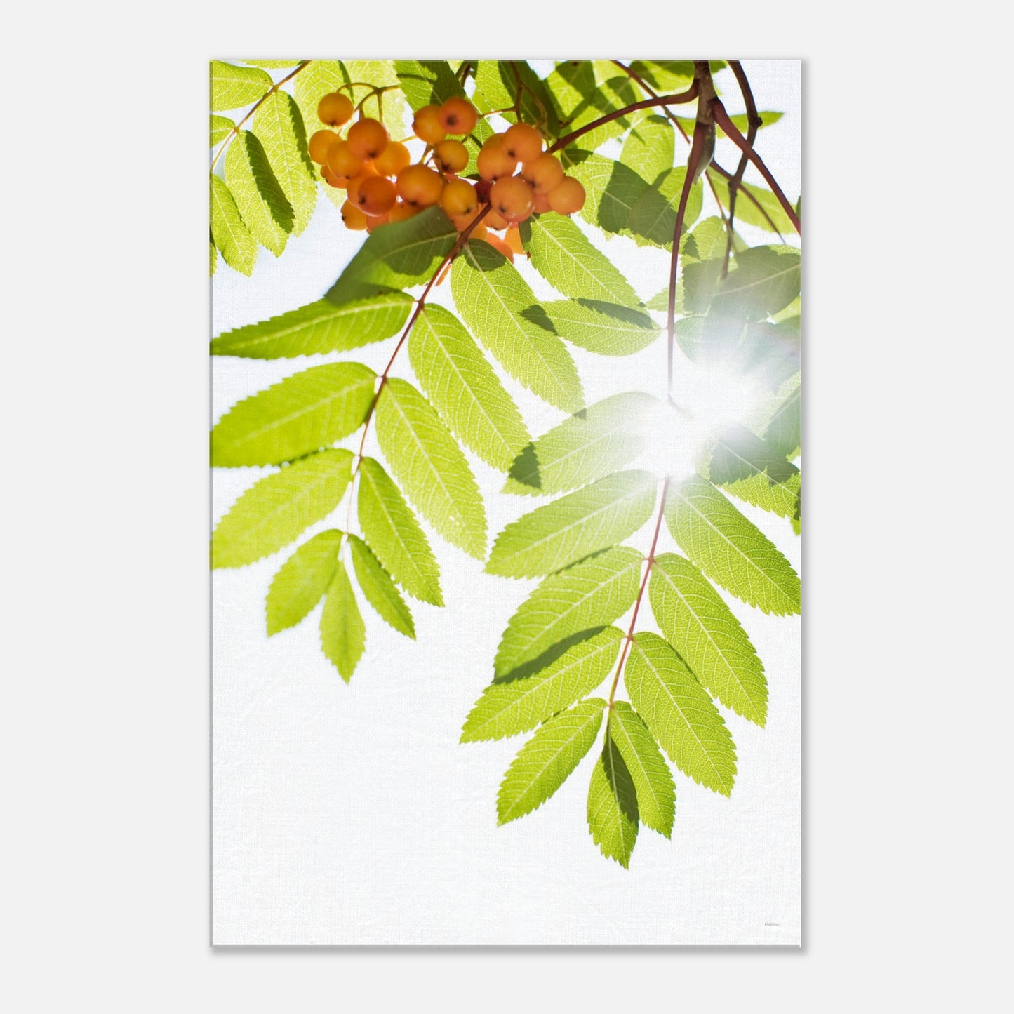 2ff7f914-537e-484f-b5de-064db7bf7396