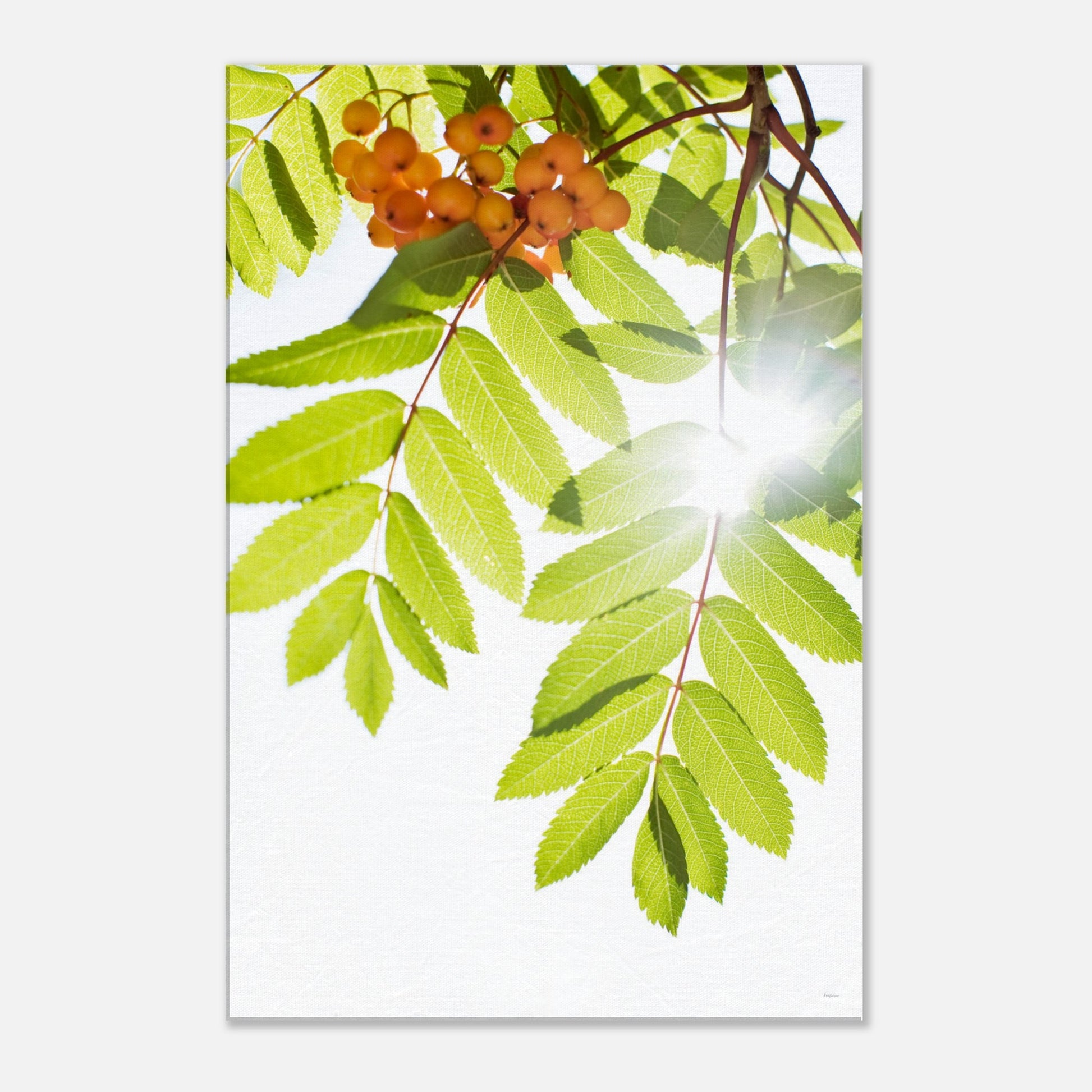 2ff7f914-537e-484f-b5de-064db7bf7396