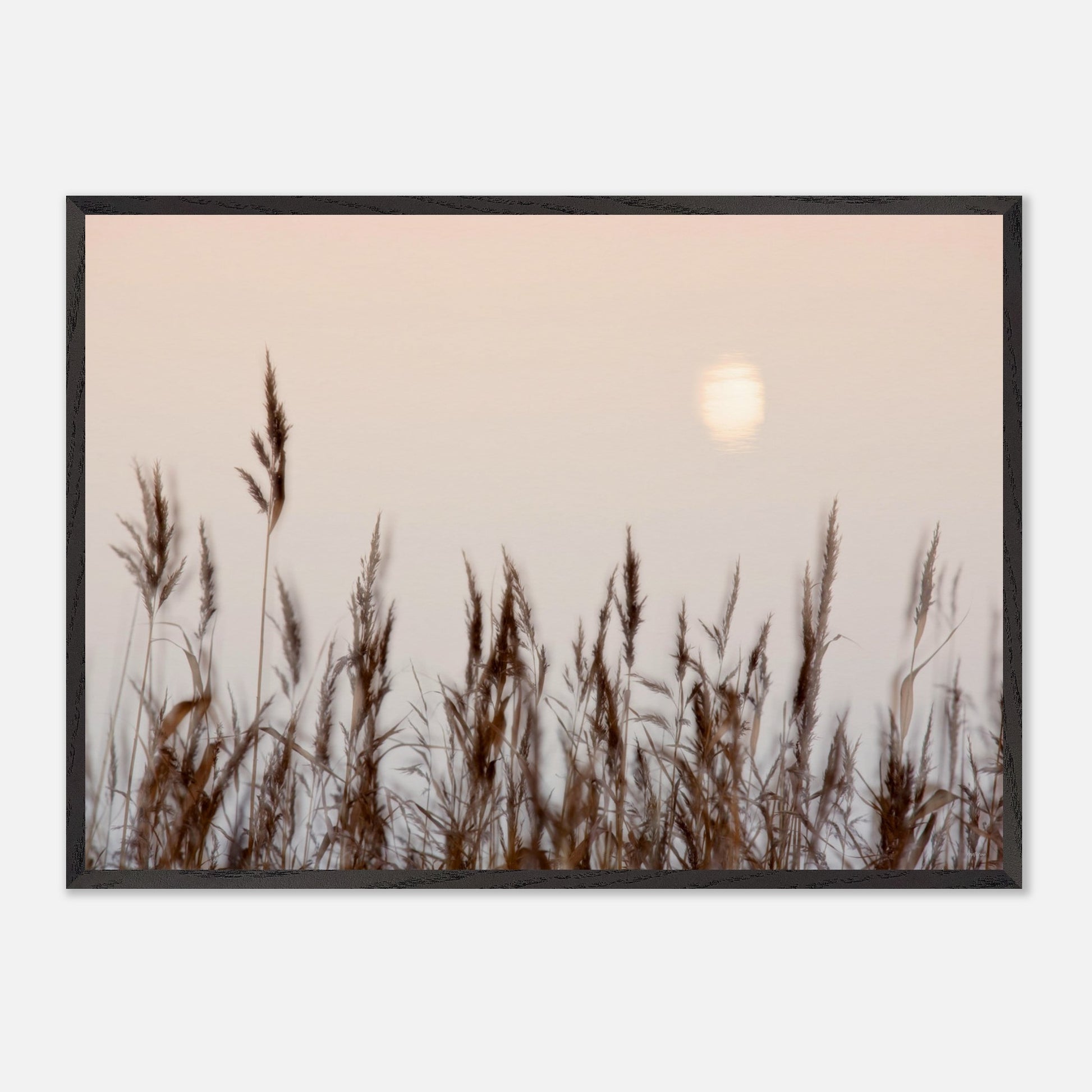 308a1720-28e6-4da4-985c-9a14a190124d