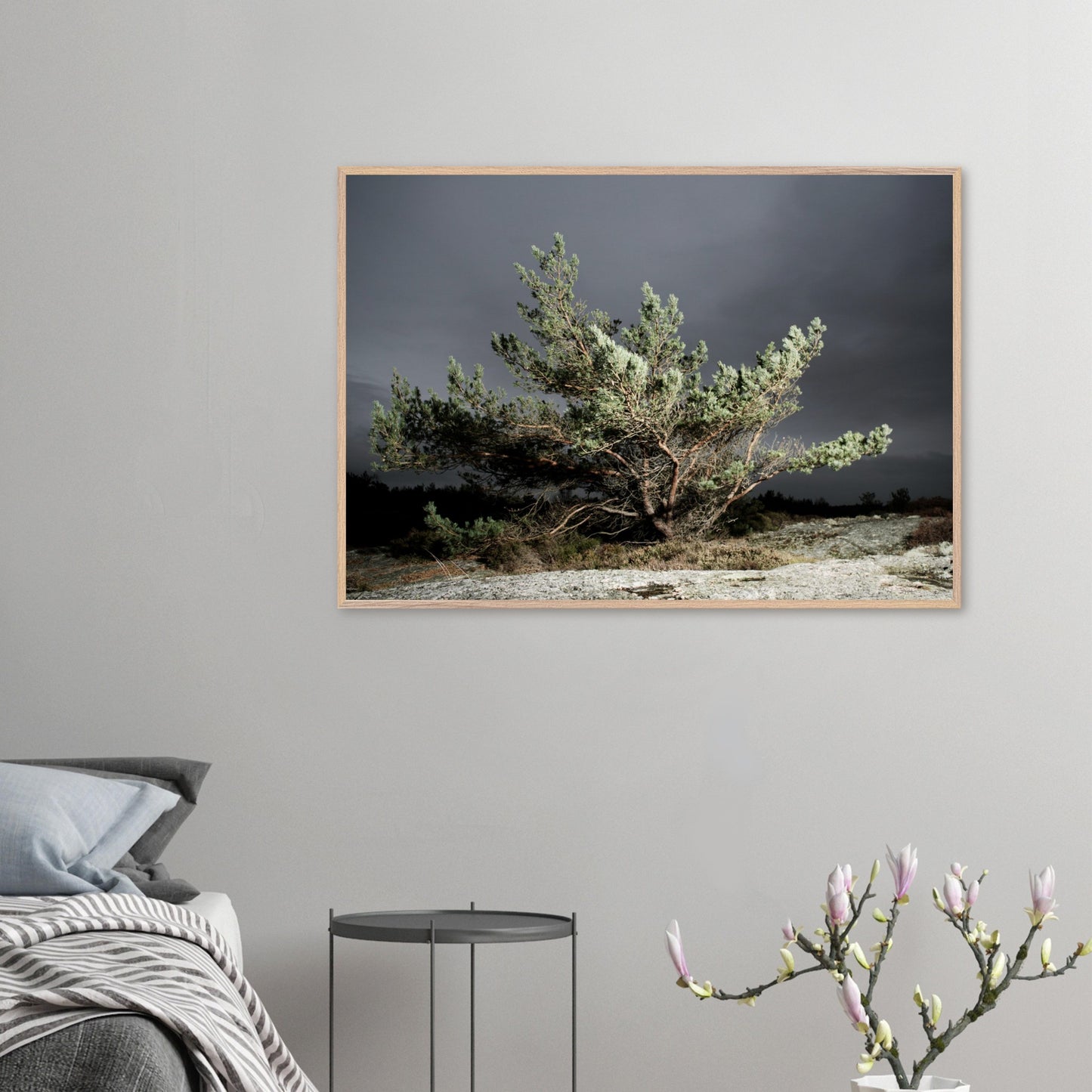 30b7aa37-fd23-4b49-837a-5ee9023b5149