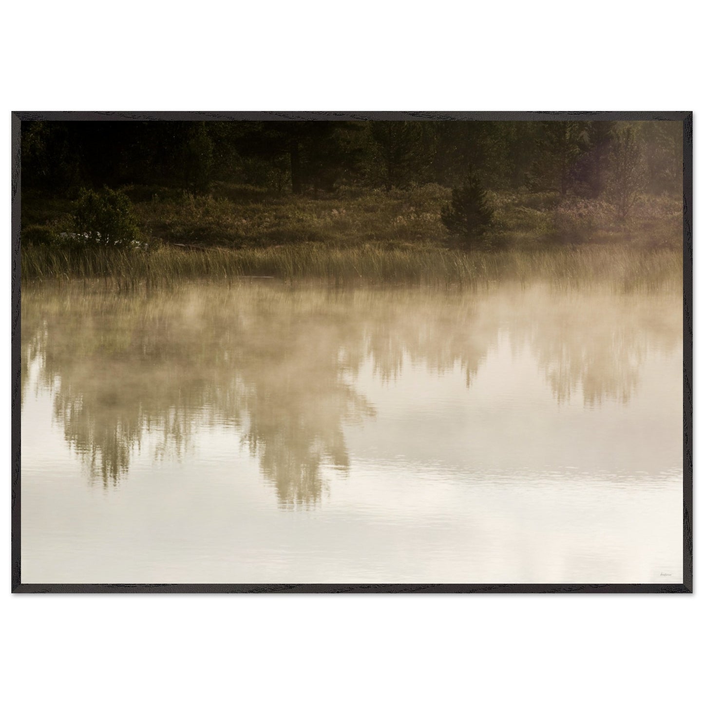 30d24c88-b826-4c93-a8d2-a8e3ca9eb744