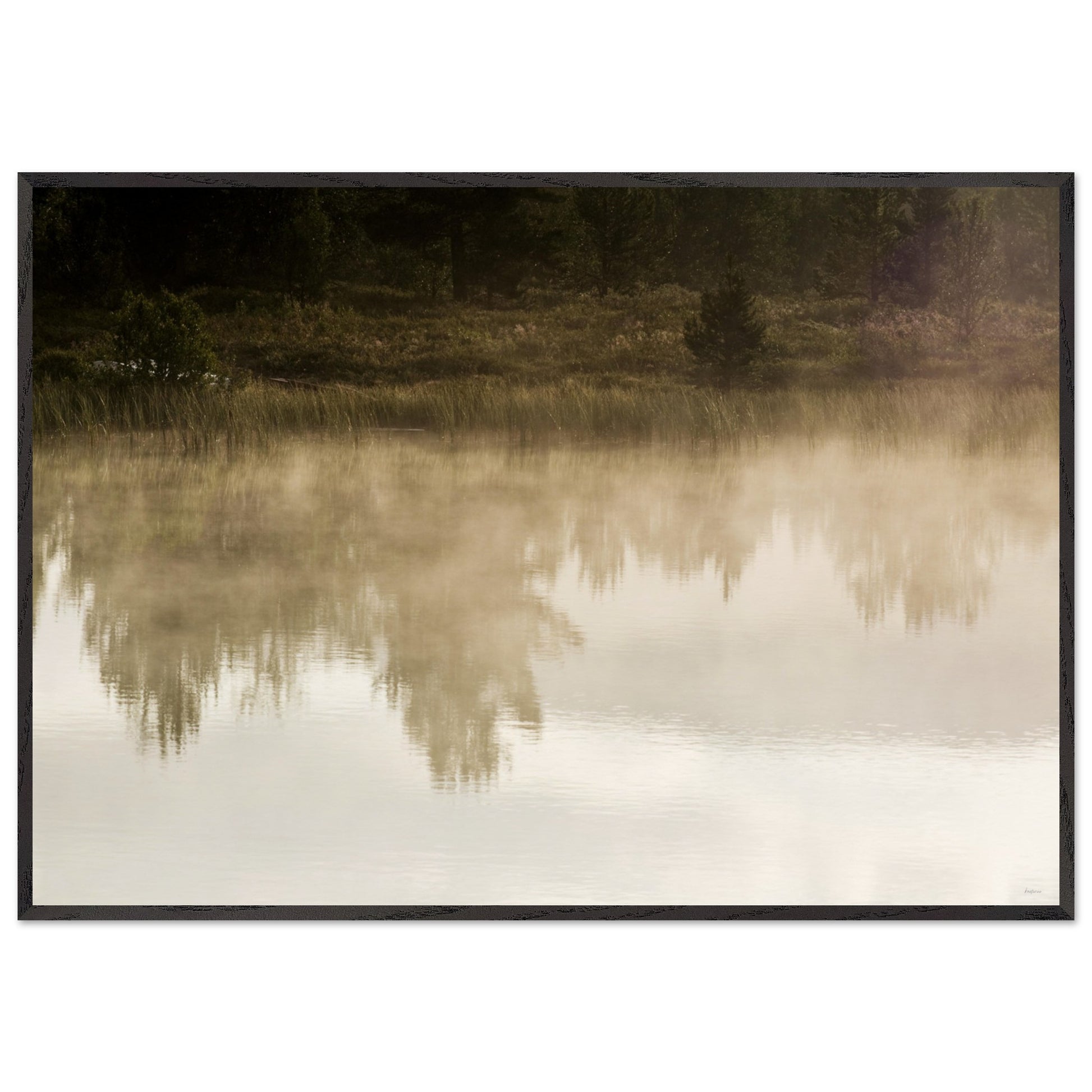 30d24c88-b826-4c93-a8d2-a8e3ca9eb744