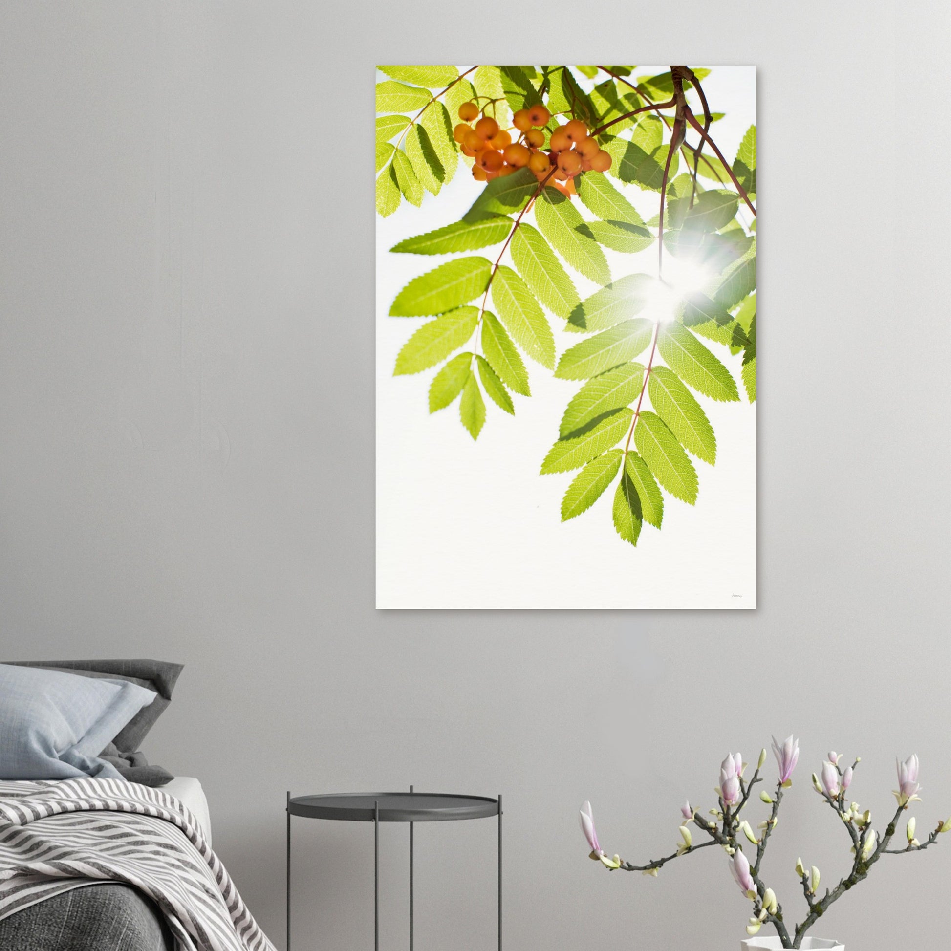 31b885da-a887-4bc4-ab16-294d597c70e9