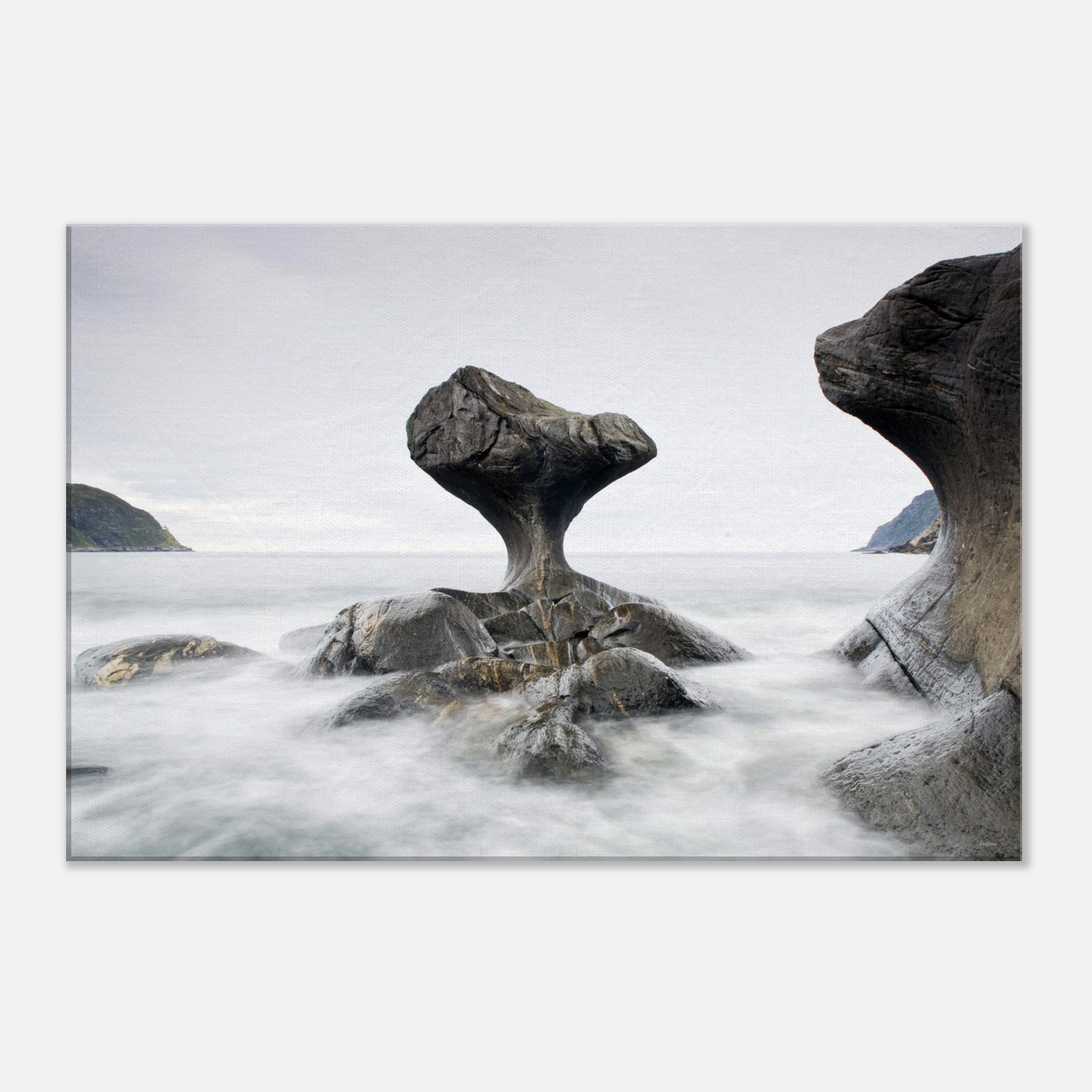 32178428-e813-480e-b00a-ccbe774088c0