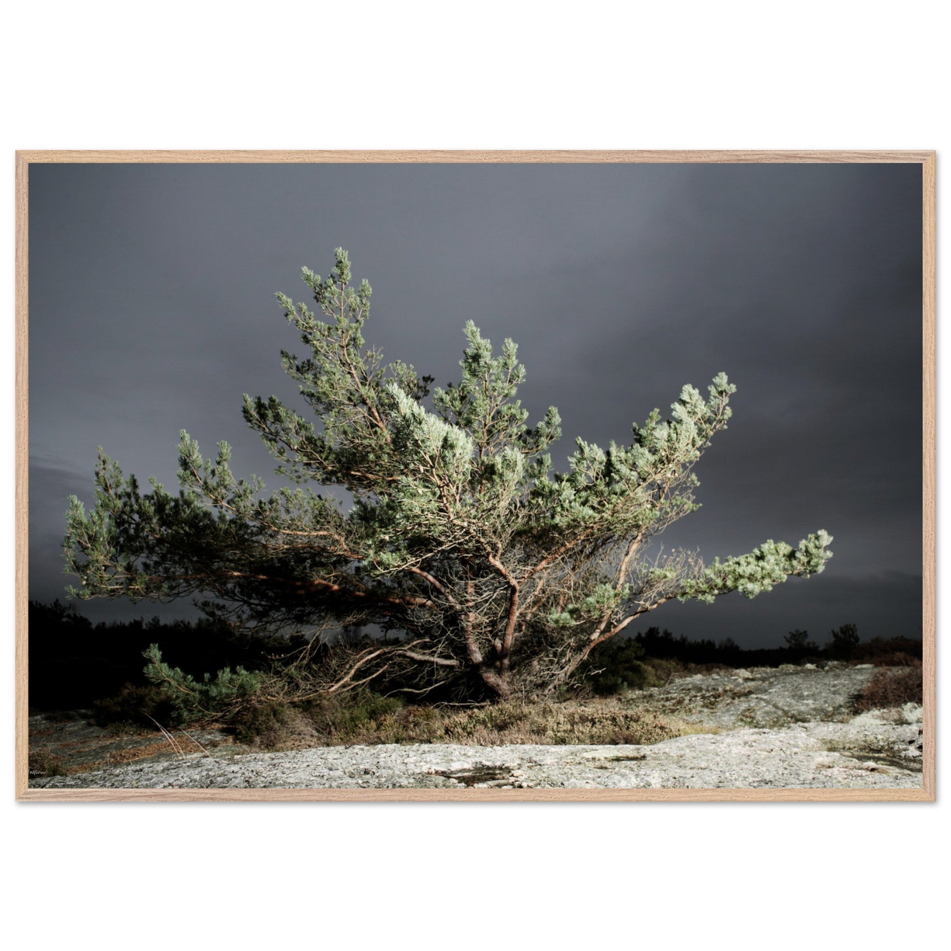 325c357a-00fd-4d4f-be73-6f1587628758