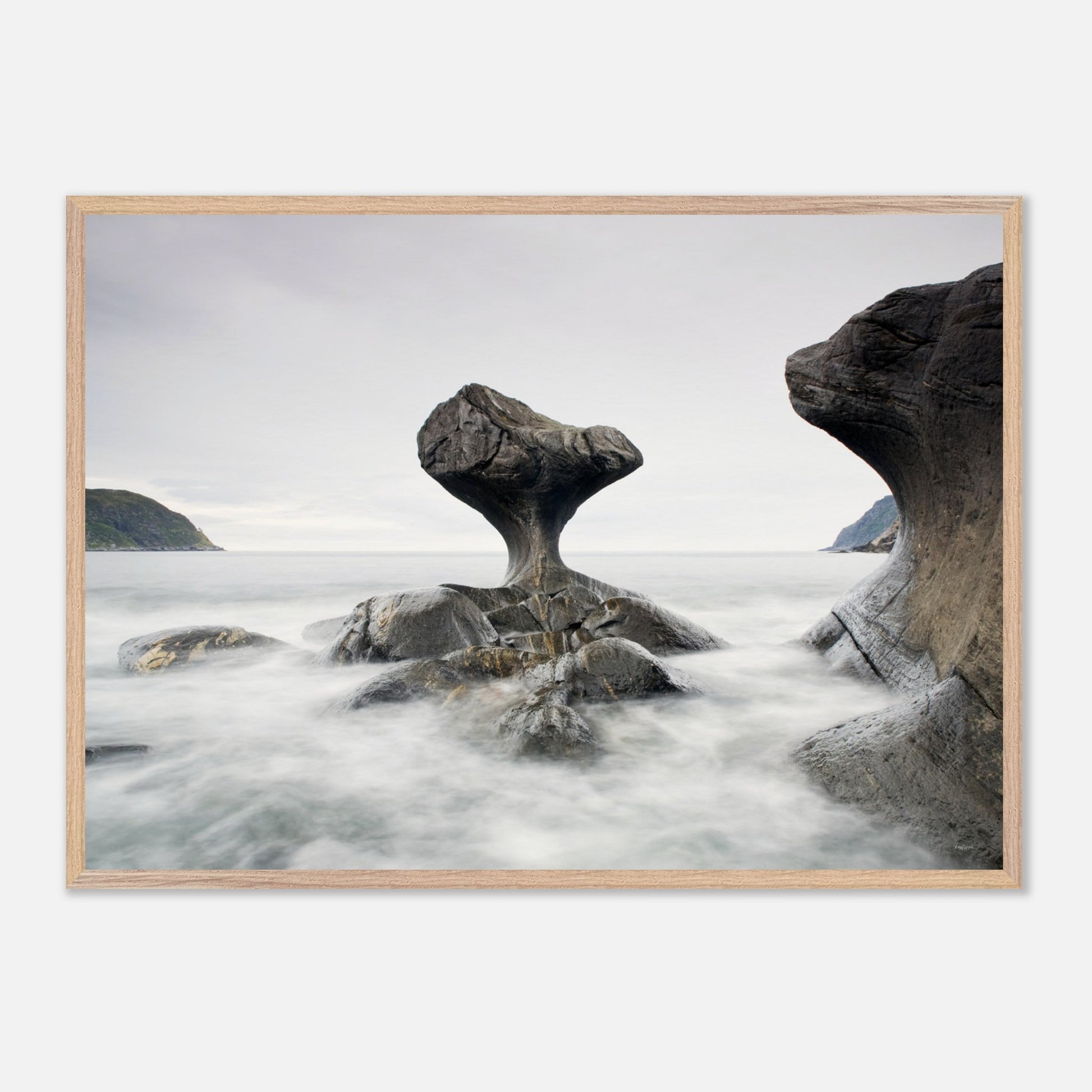 32b6971b-47f0-49c4-8b18-e28ab59da431