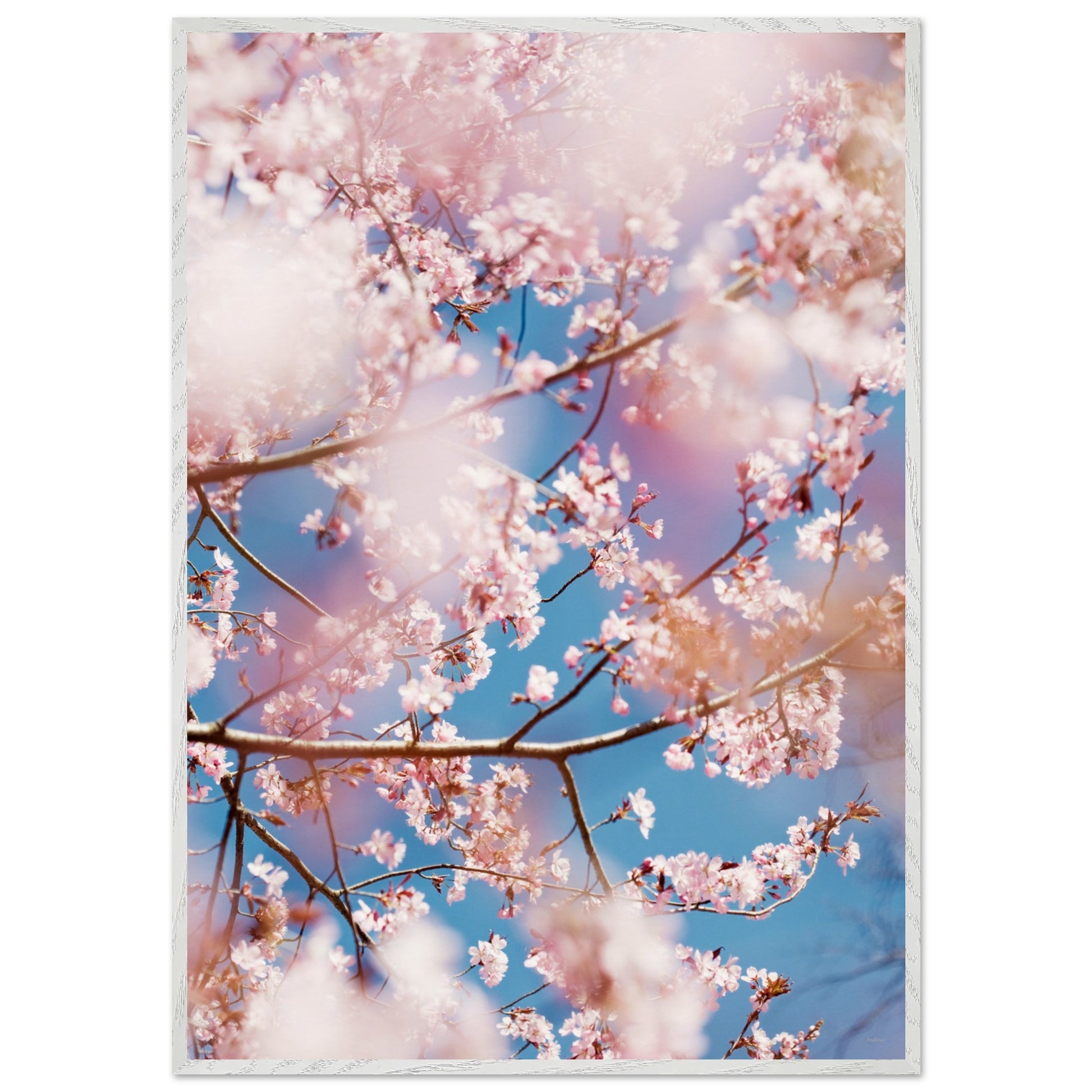 33859034-6a94-46ee-abad-2dd030c17413