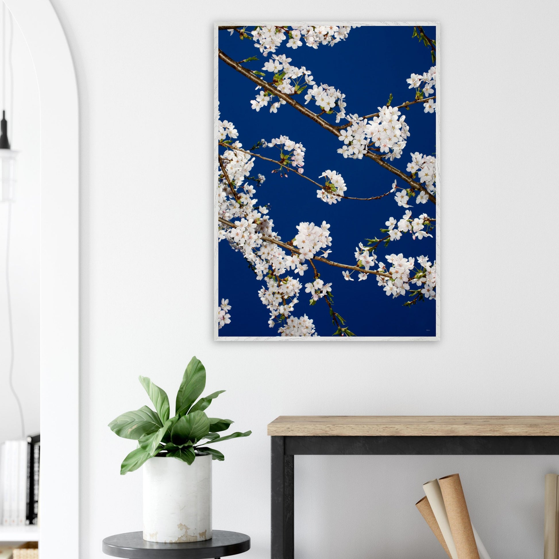 339c1c6d-ee81-4940-8744-cb4e6a0e72e6