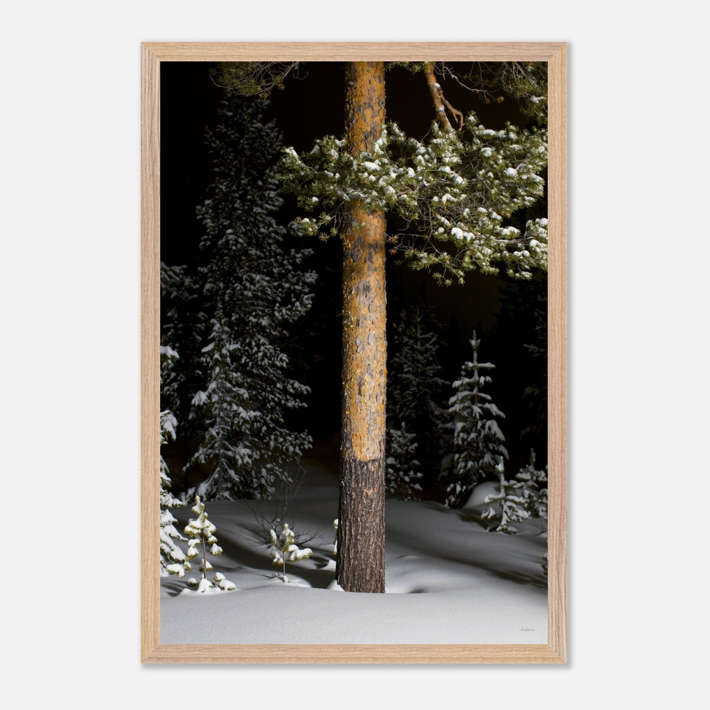 3505a3e0-0f07-4ef0-8f39-42bcb51ad546