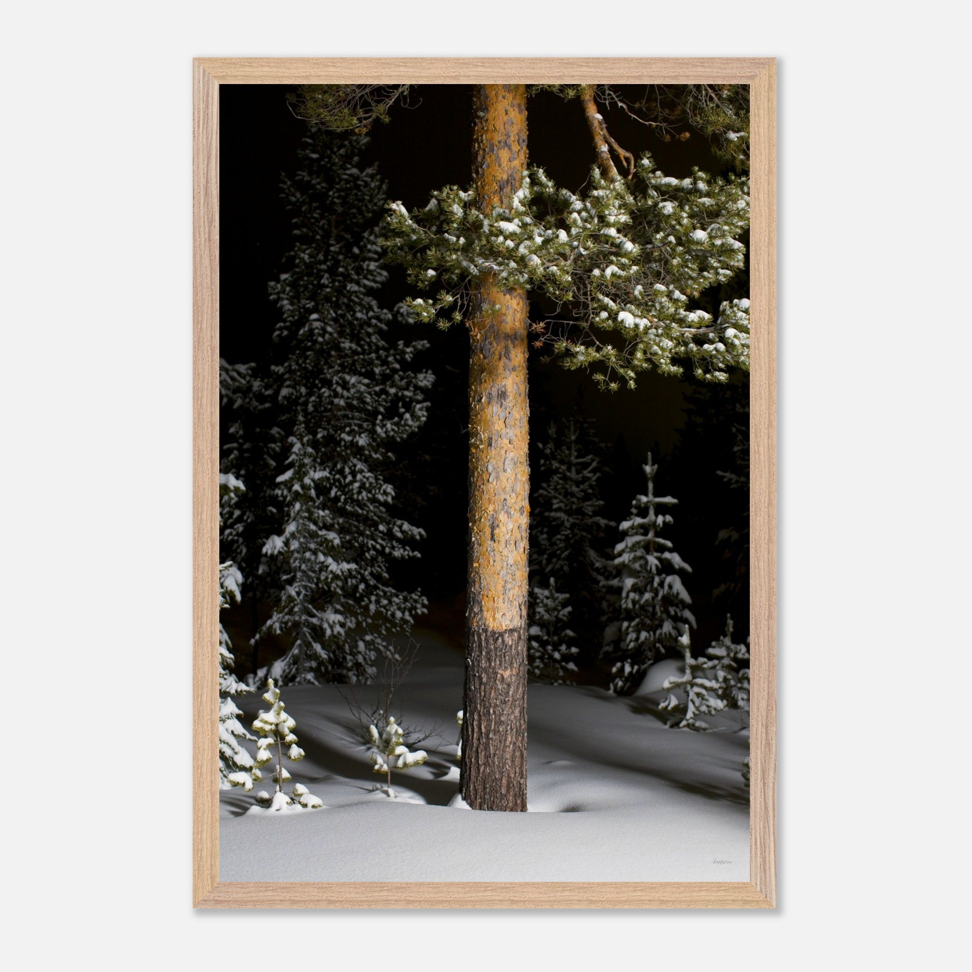 3505a3e0-0f07-4ef0-8f39-42bcb51ad546