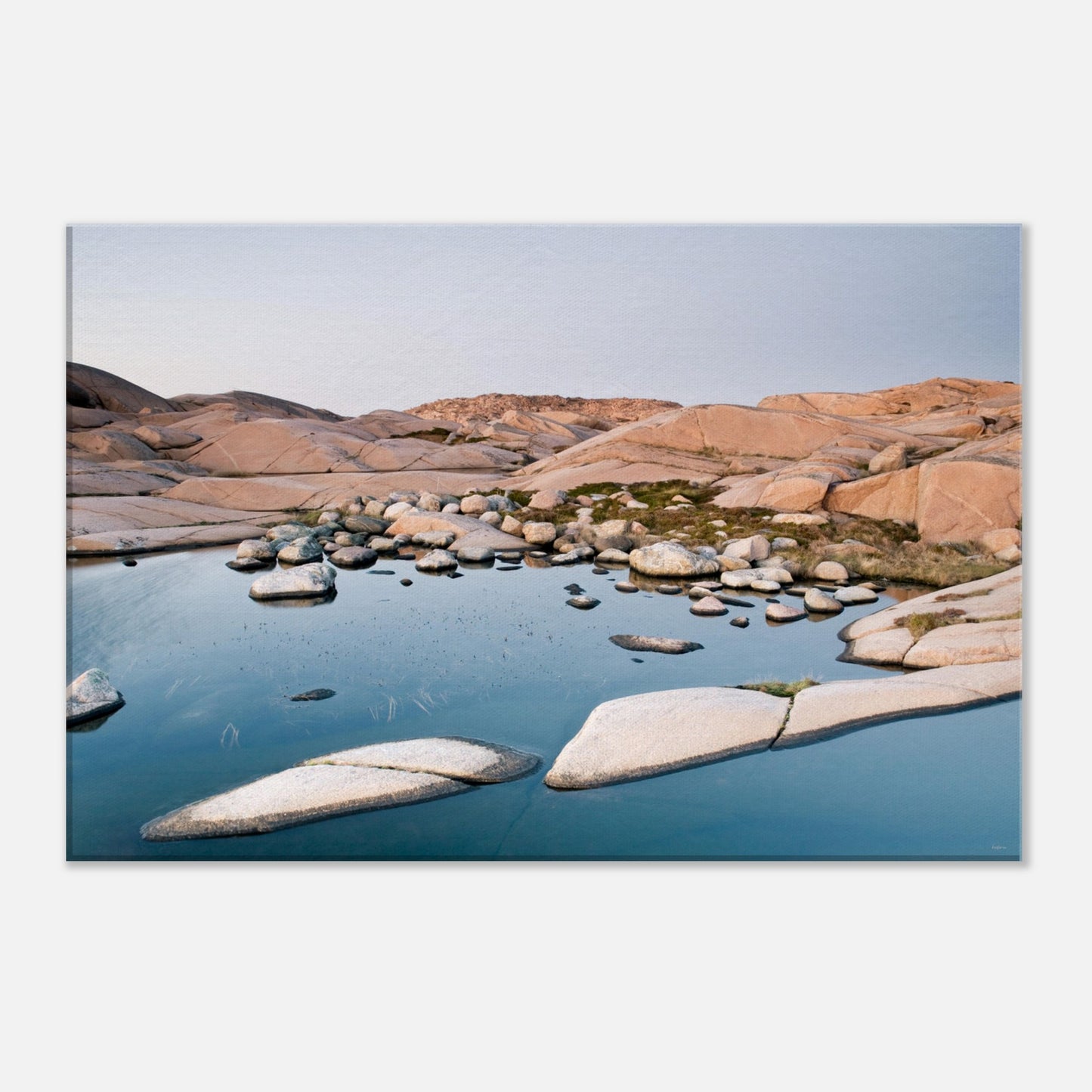 350d73cc-fd0e-4bb7-8834-2b01b379ba31