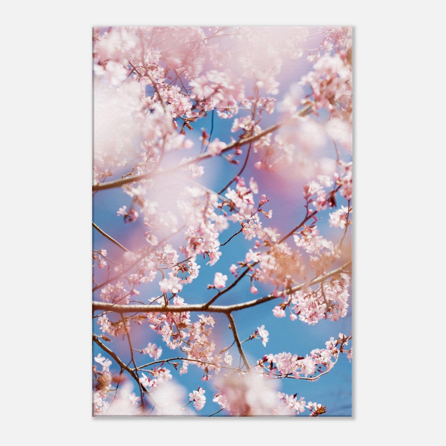 35f4f224-88d5-4ba2-bfb9-7b40789755ec