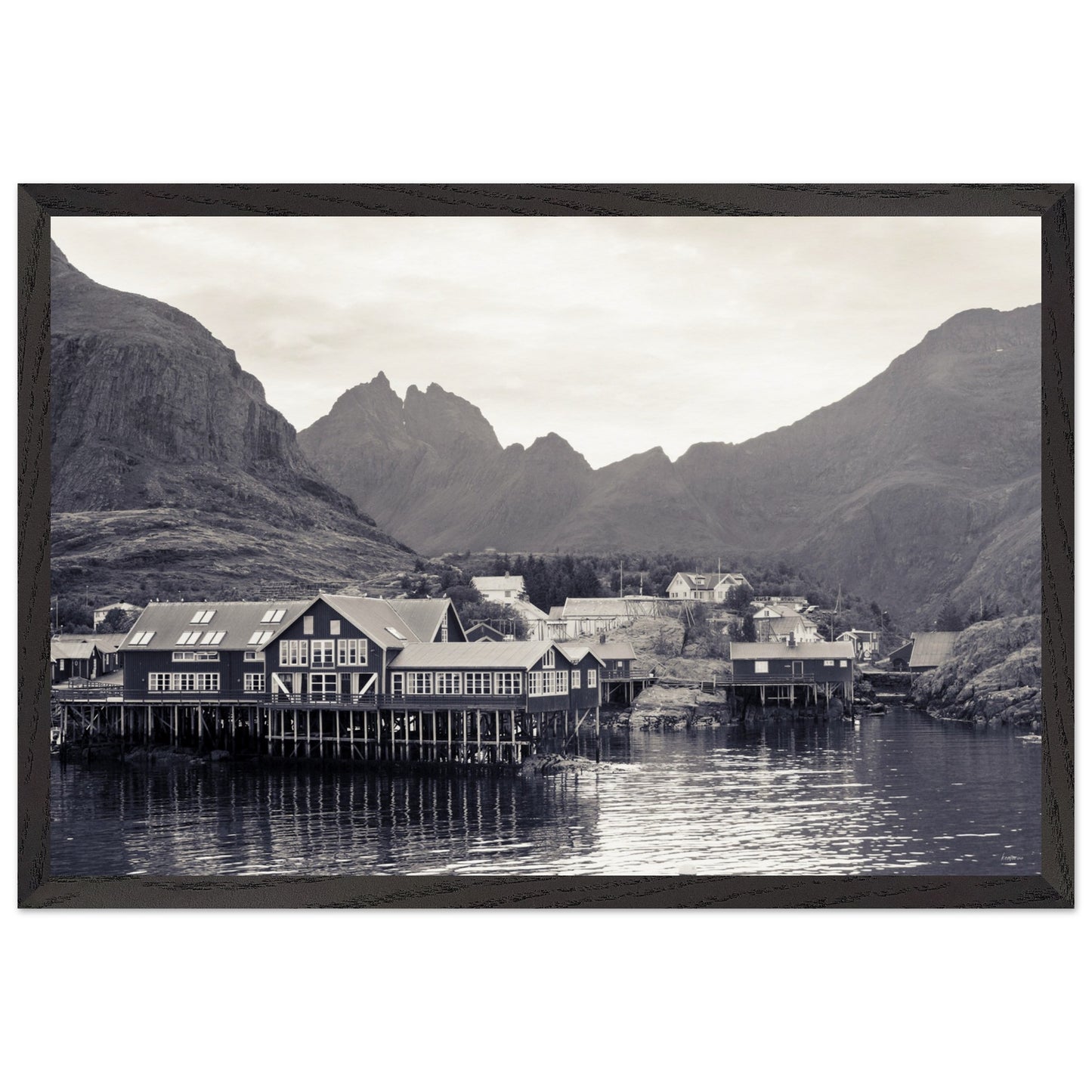 36e52cc1-1bbb-4f16-83ae-6cf756ef0067