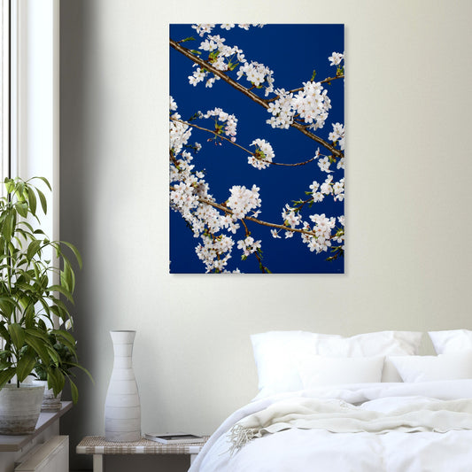 37221238-394c-46ad-8a1c-f7d49de4c5ec