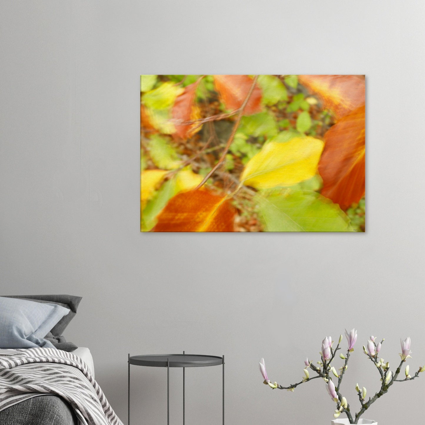 3733b69e-5f87-481e-bcfe-3bcc56e3001a