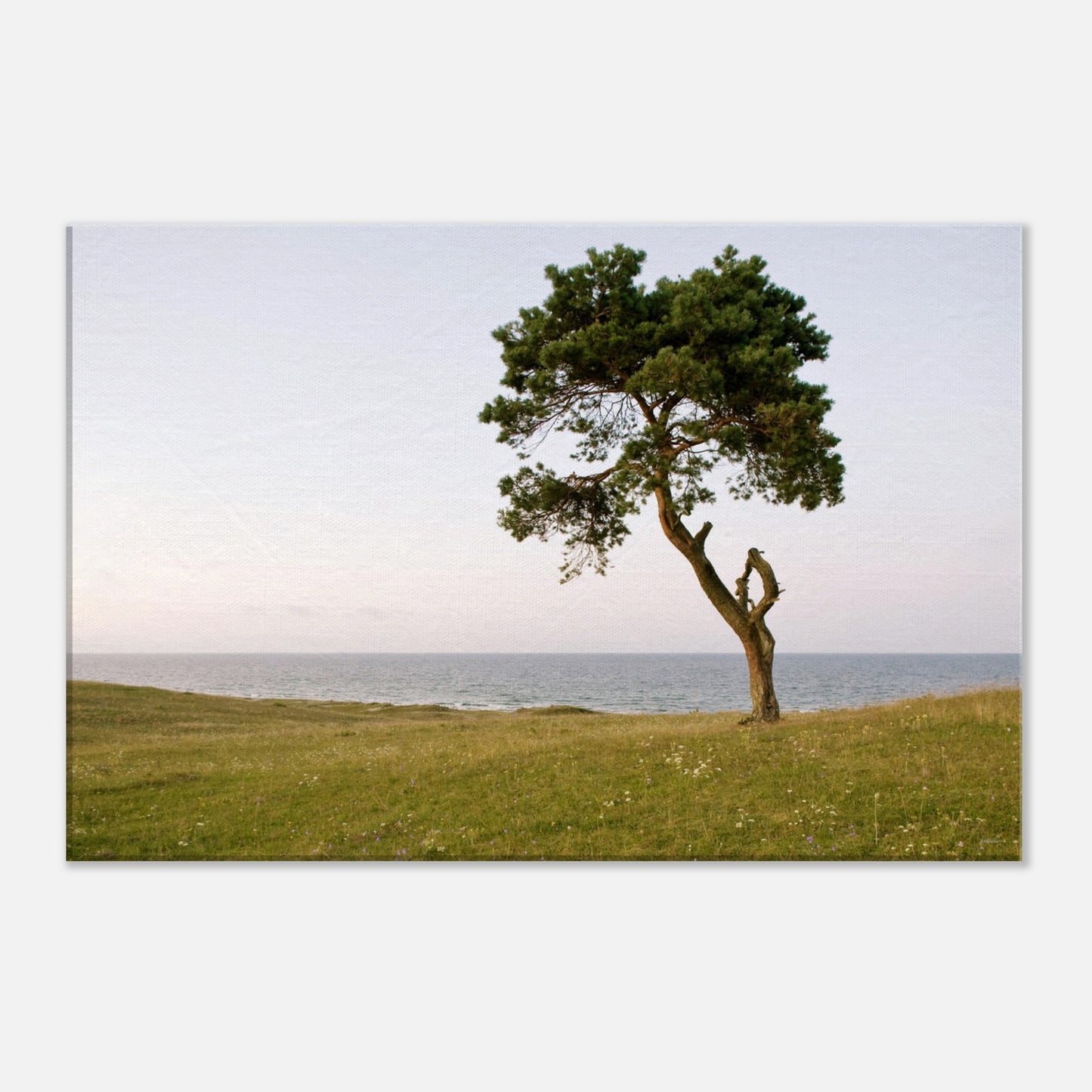 3a2df3c4-eafe-4a0d-9c9c-b96690227b6b