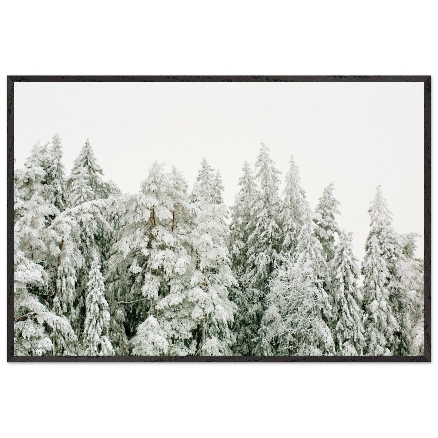 3ac1c7cf-b7a3-41bf-845d-9e4241330fdc