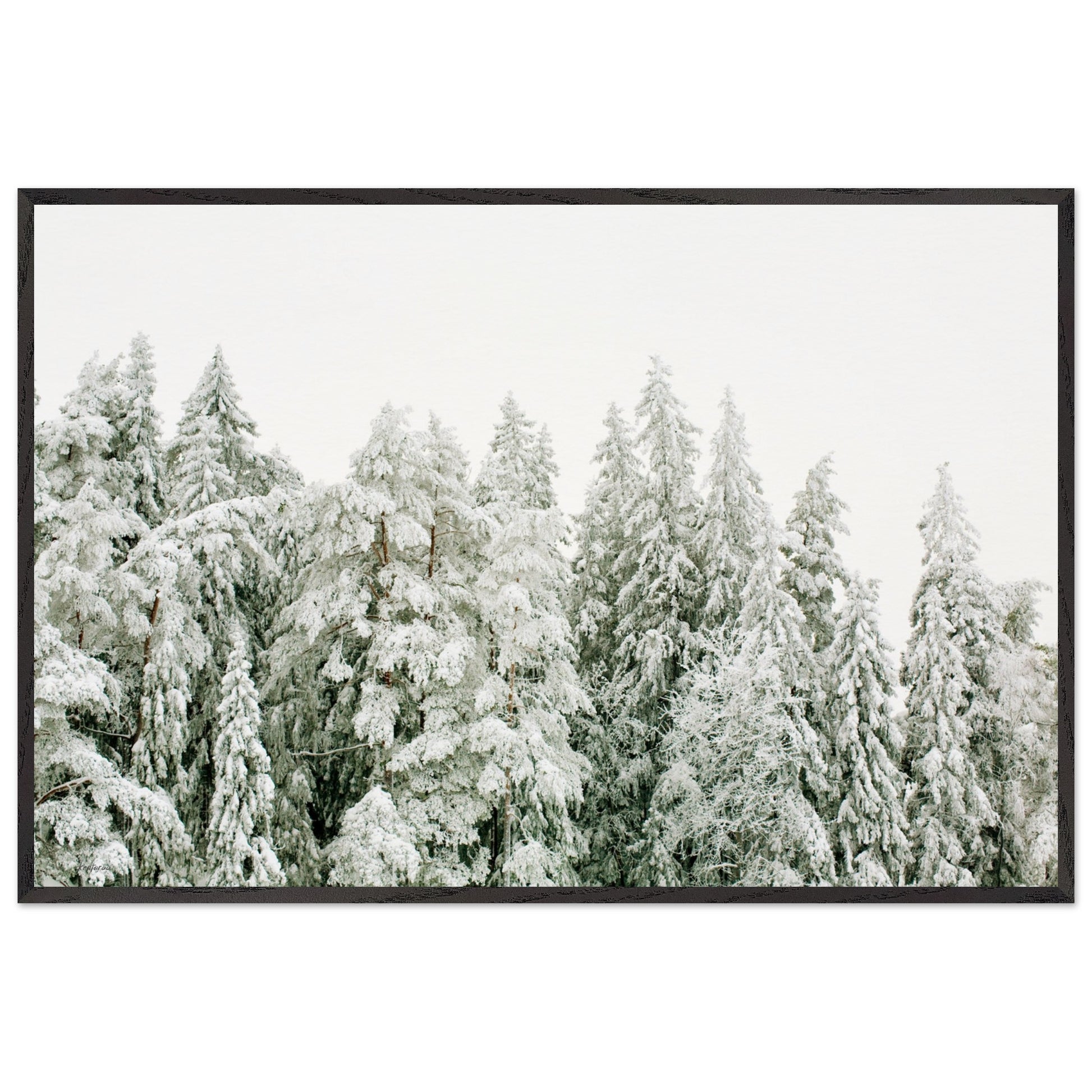 3ac1c7cf-b7a3-41bf-845d-9e4241330fdc