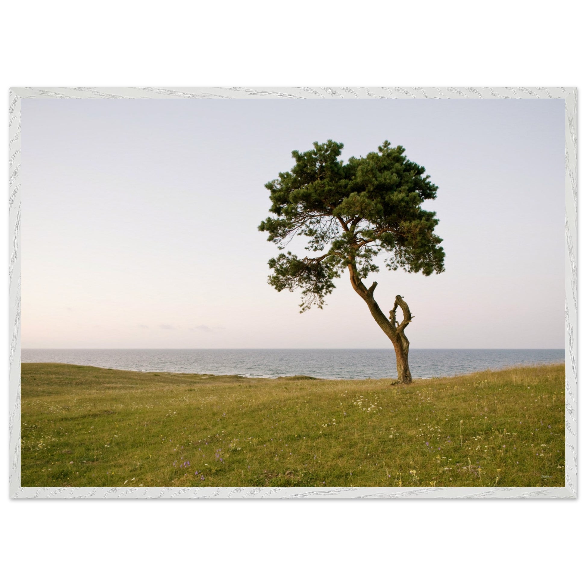 3bf83760-b539-4e57-a765-f1230fde436b