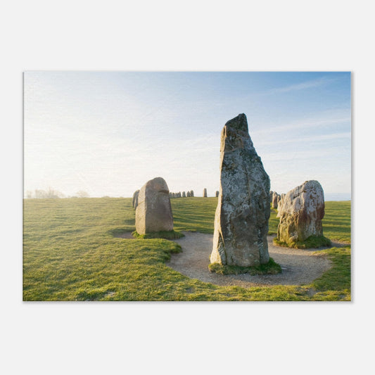 3c515949-914f-46a3-9b8d-10d56380cb10