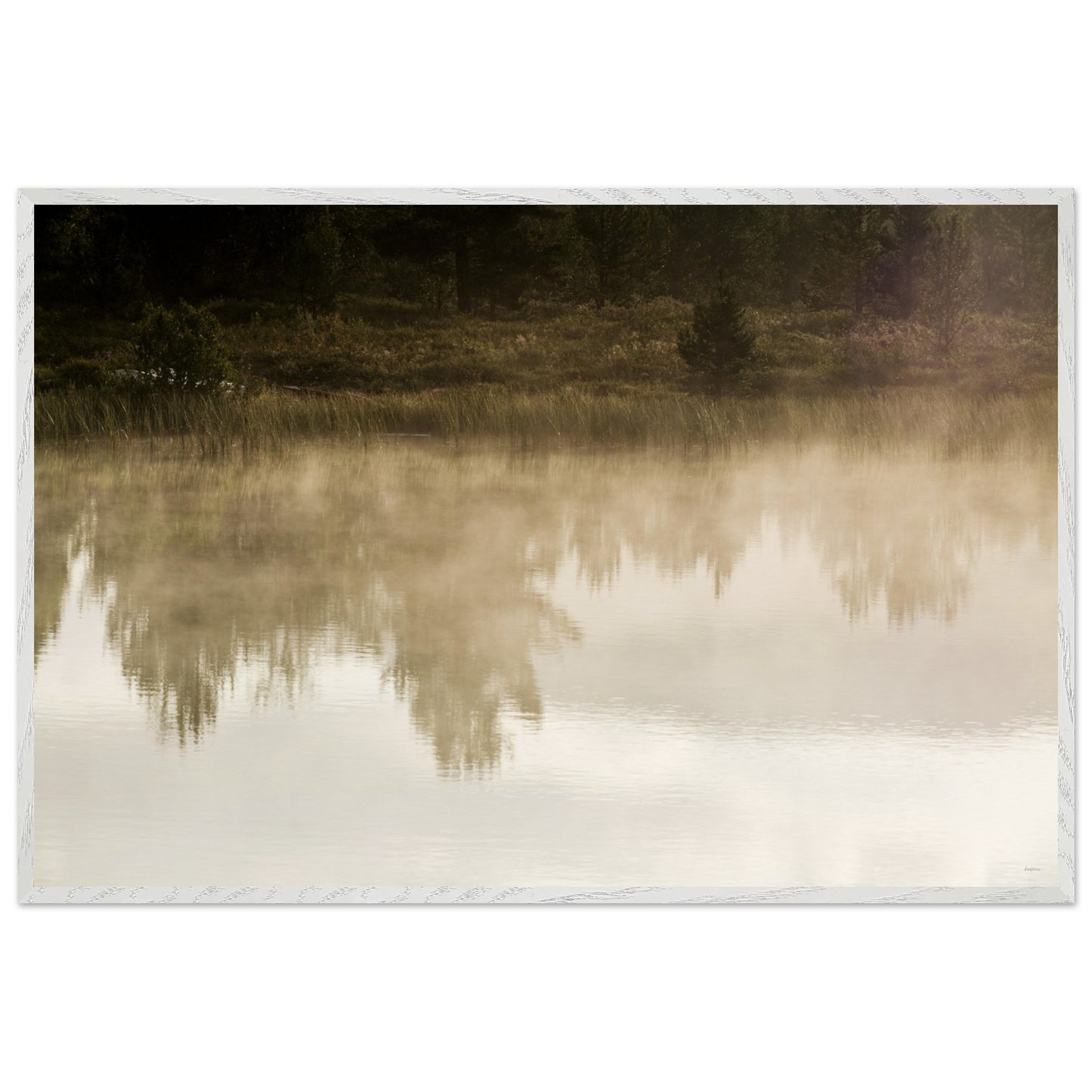 3f460f8e-858d-4e36-945c-a5142973474b