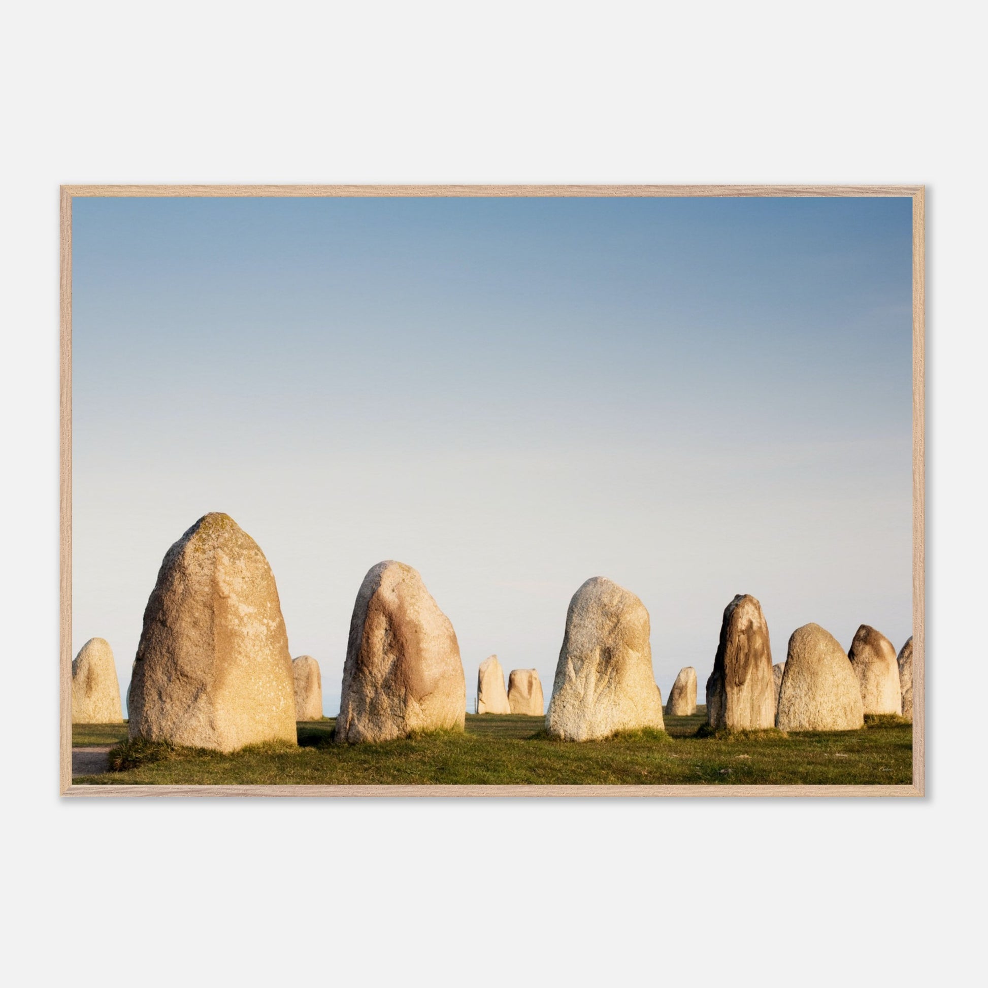 3fd450d0-3239-42e2-9e4a-a2d5fa565186