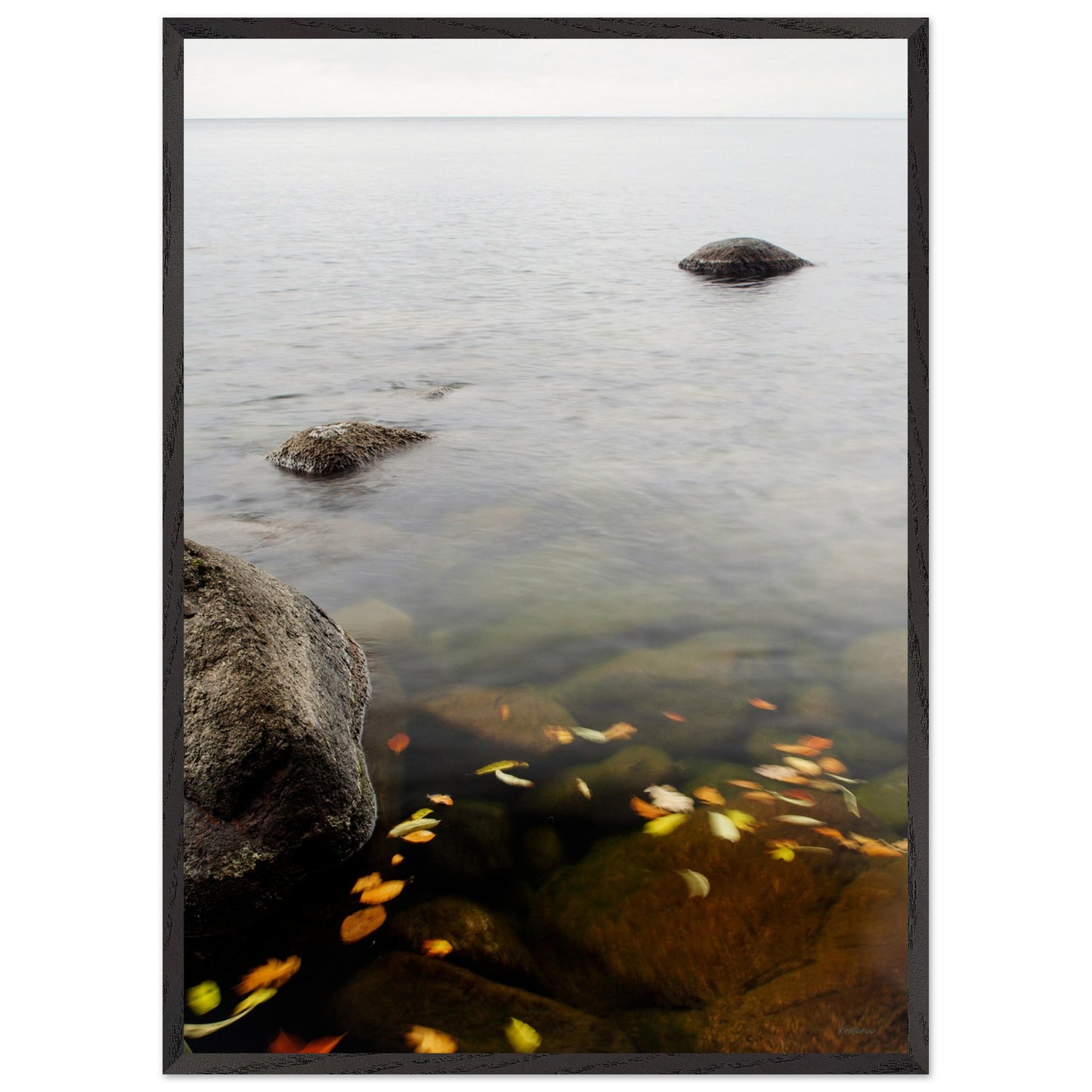 40885a3a-e08a-4911-a299-3b1c8c9762dc